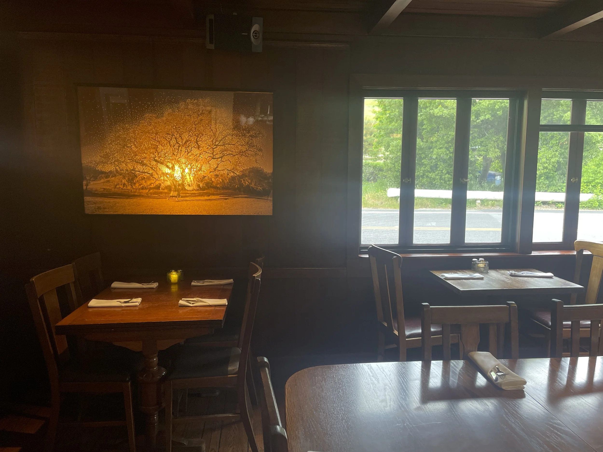 Valley Oak at Giaco's