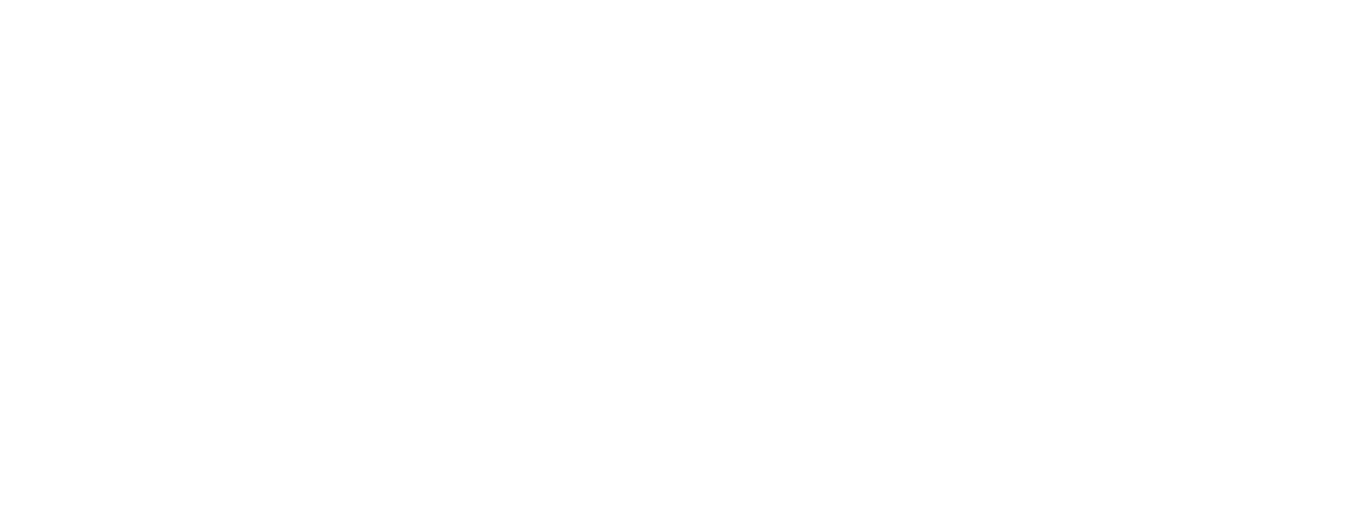 Nicole Boterman Creative Logo