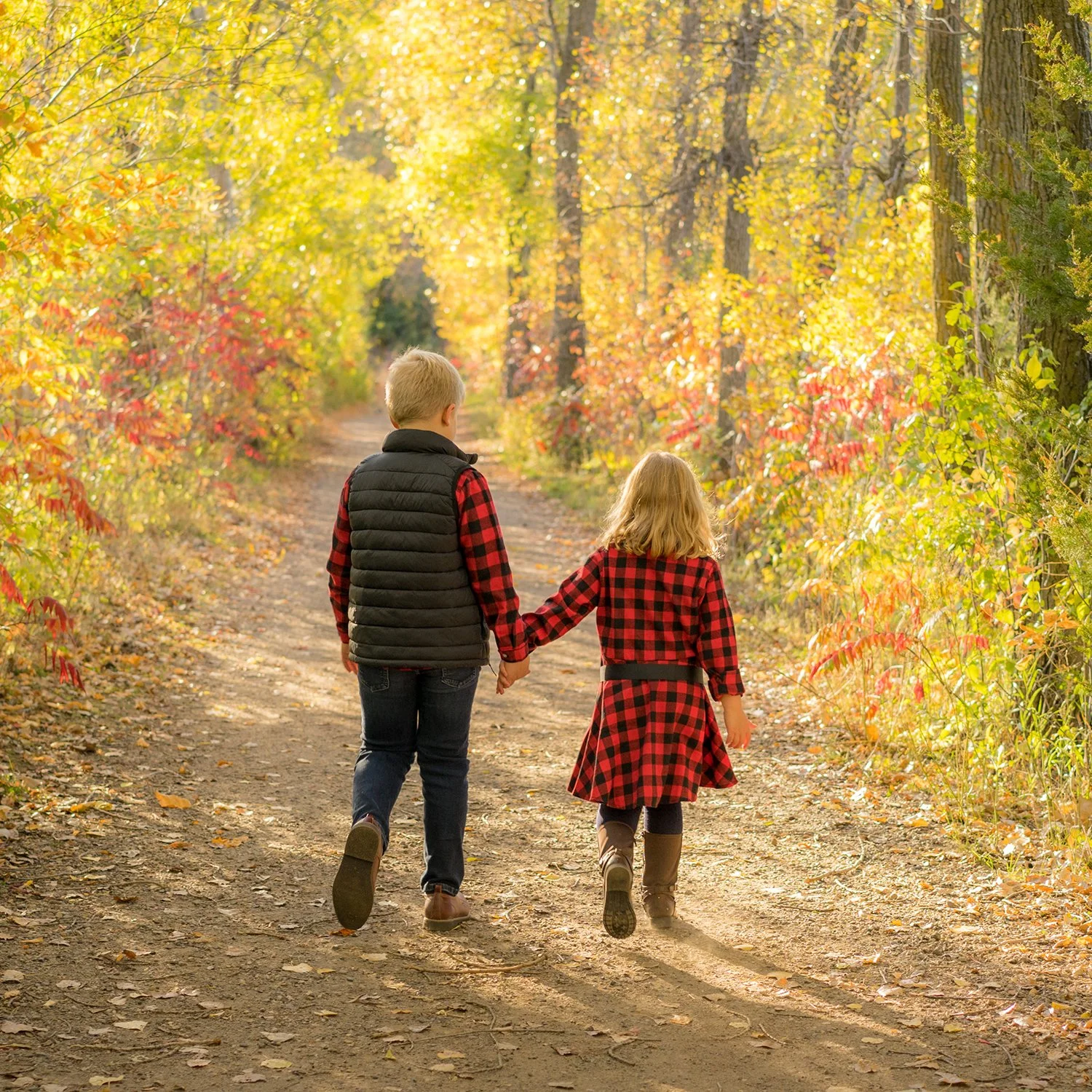FamilyPhotographyImage1500x1500.jpg