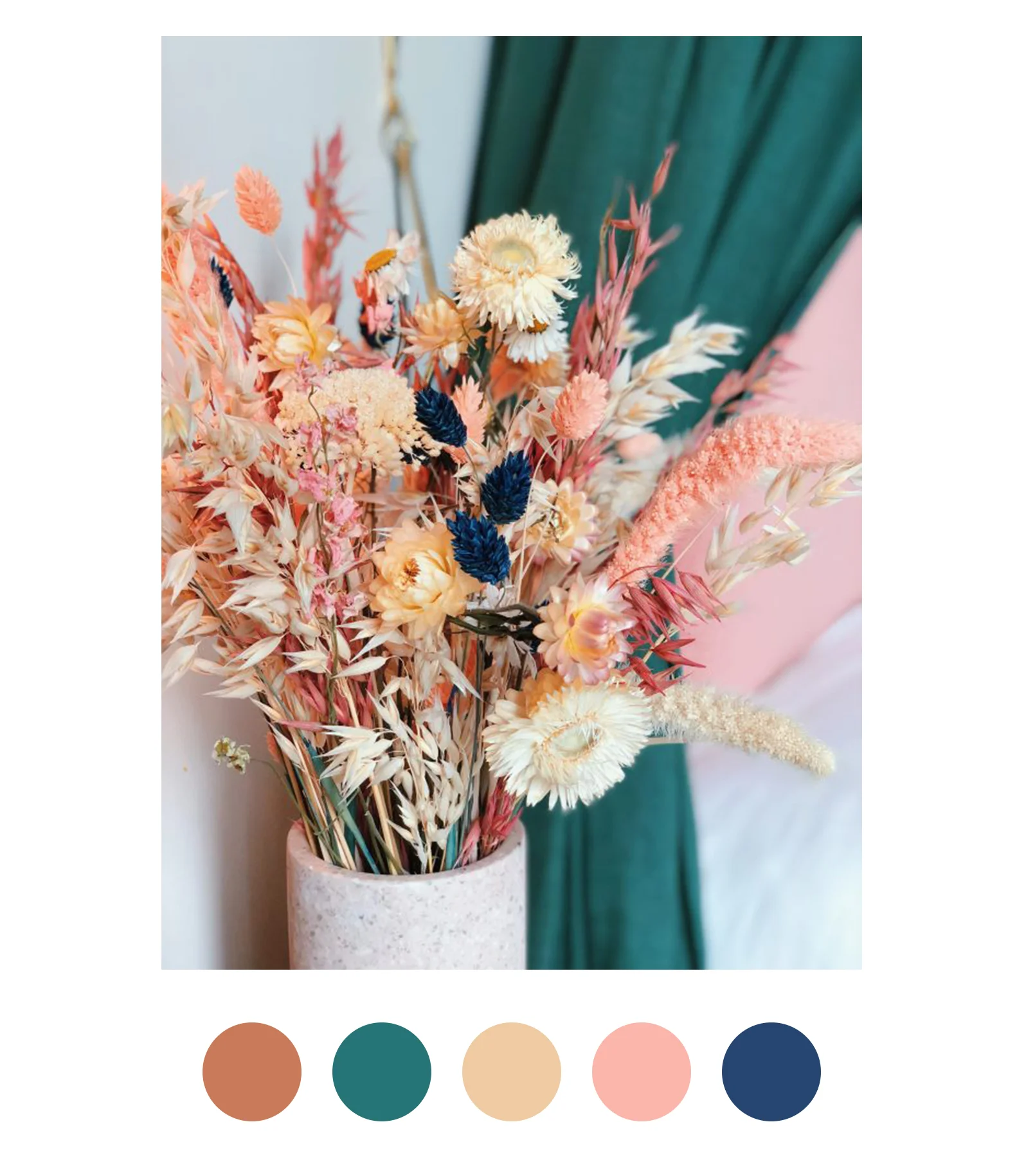 pampa_colorcollective