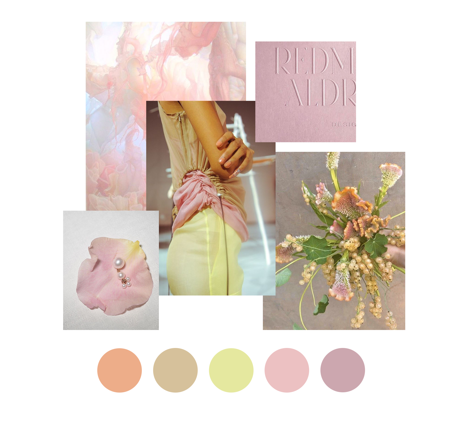 Collecott Color Color Collective