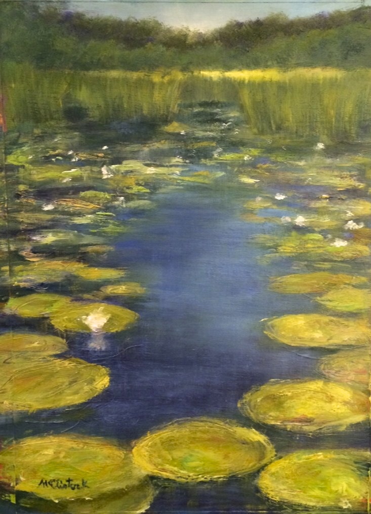 Life of a Lily Pad