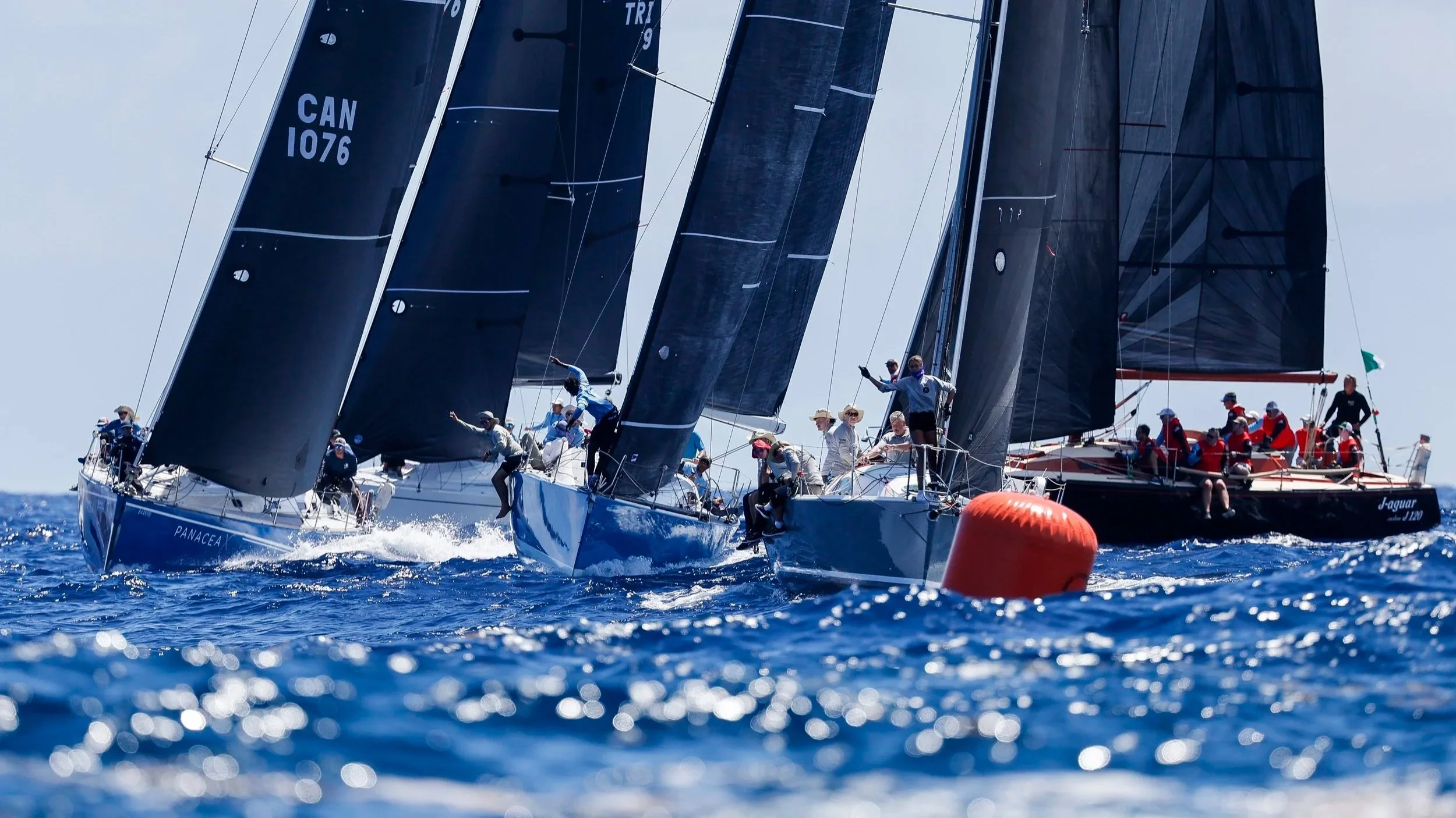Antigua Racing Cup