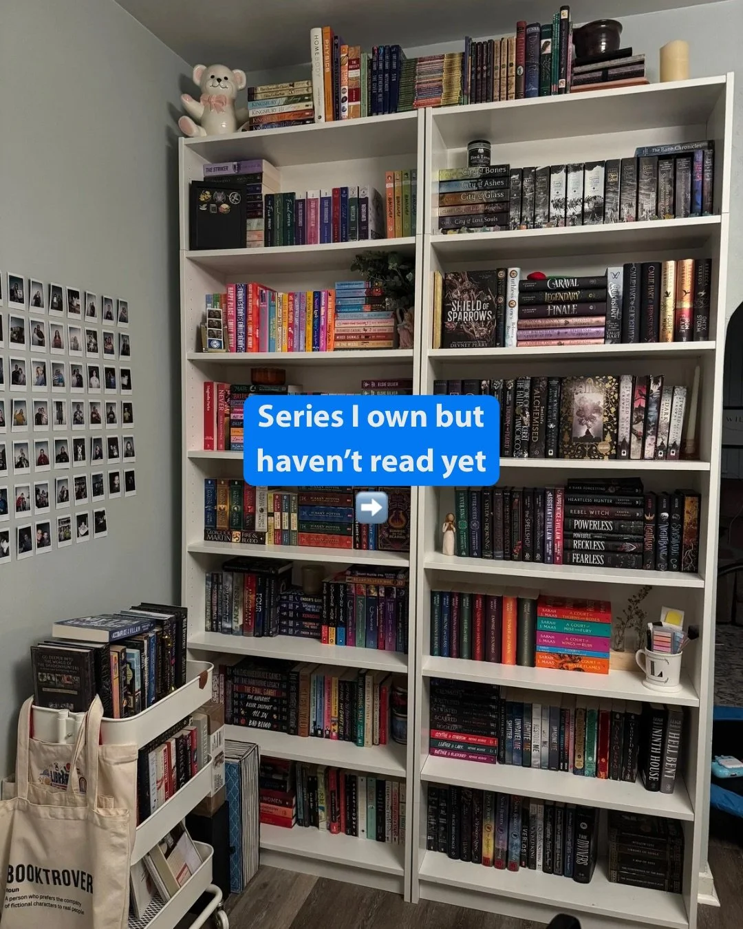 Series I own but haven’t read yet