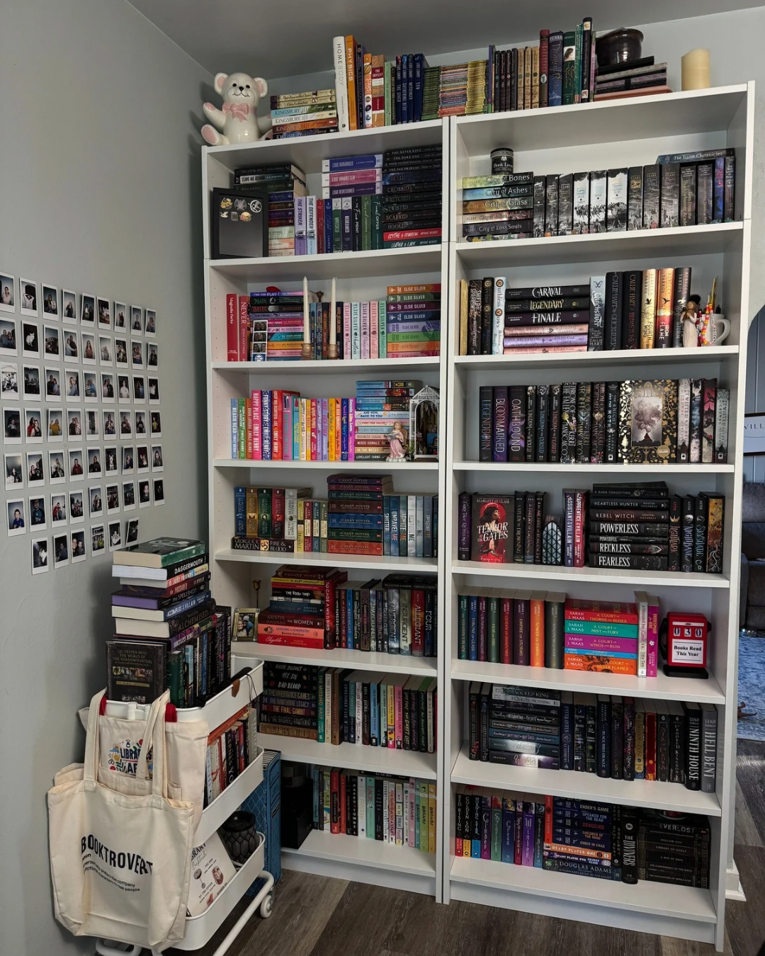 Bookshelf Tour