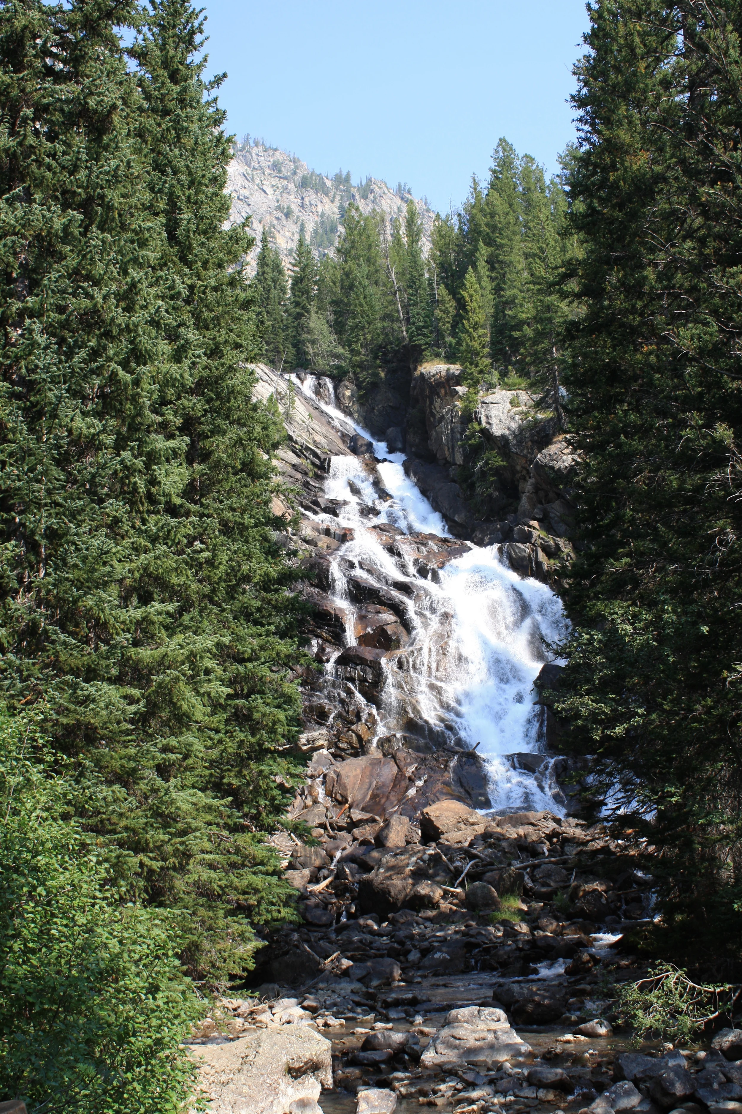 IMG_6205.JPG