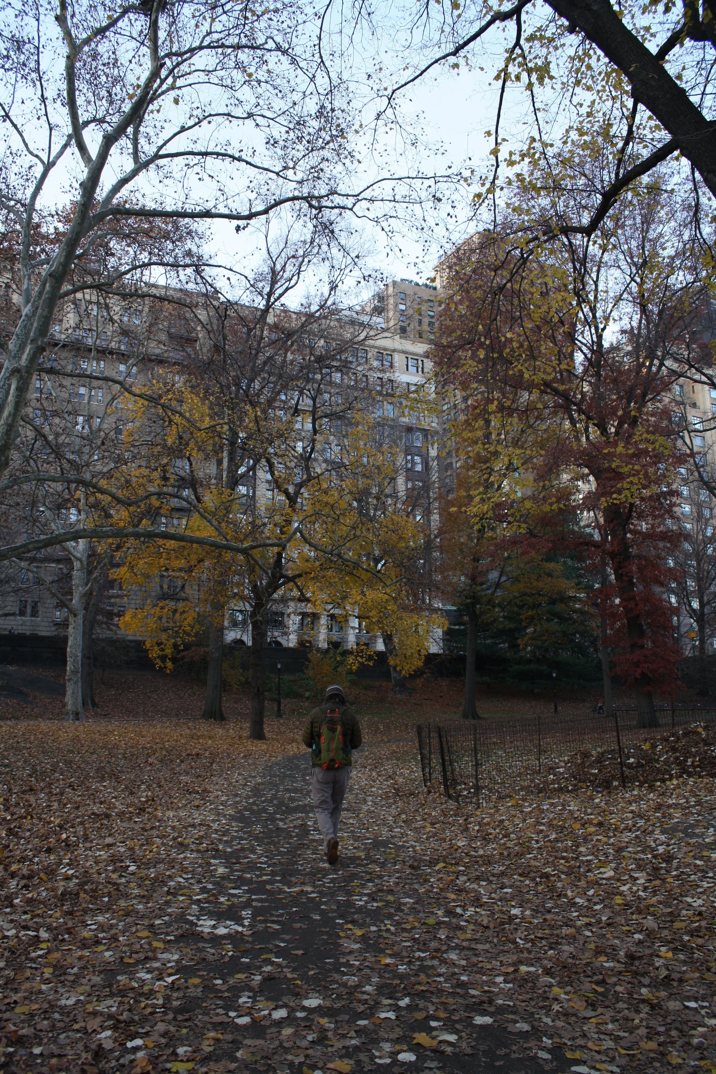 IMG_7587.JPG