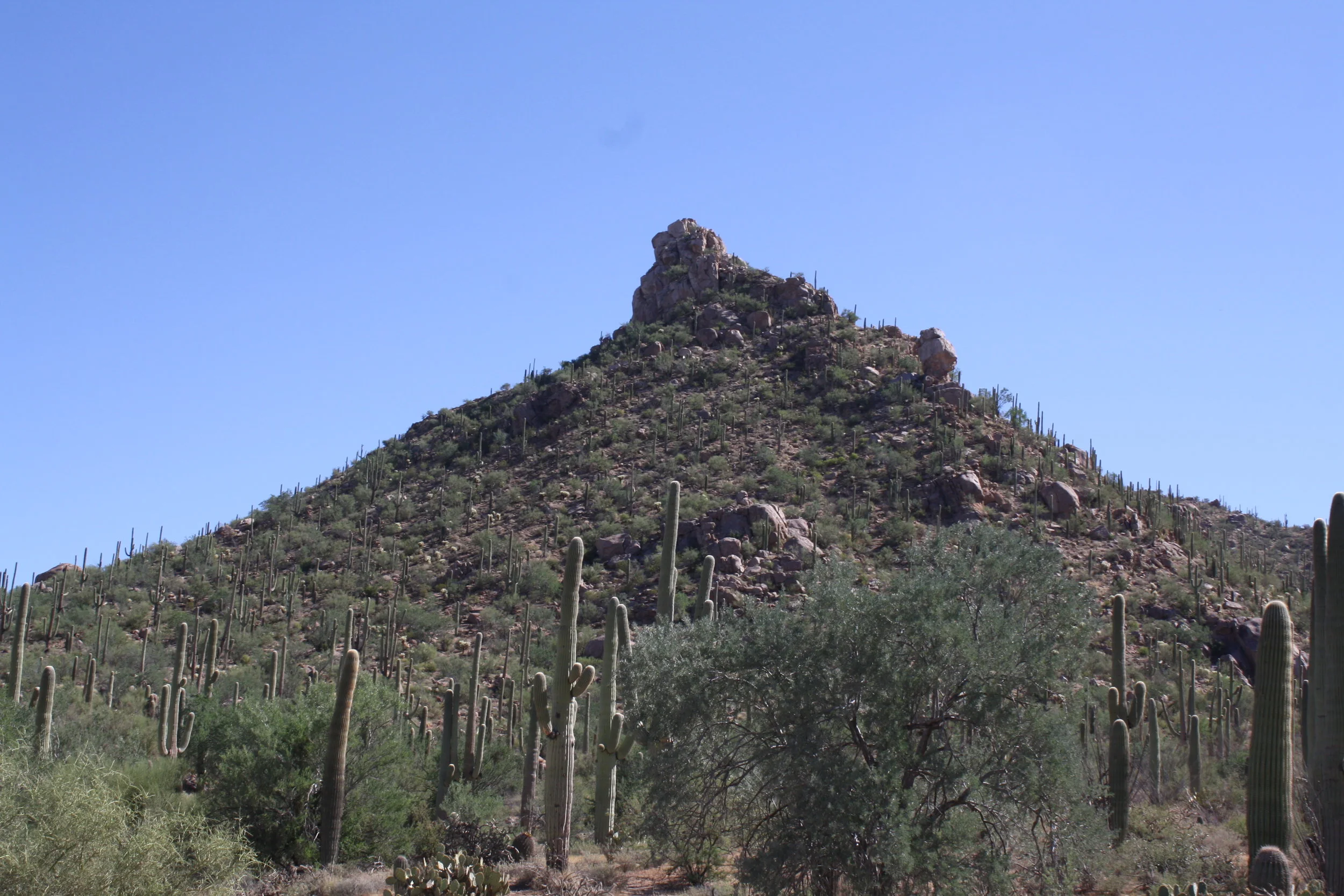 IMG_8444.JPG