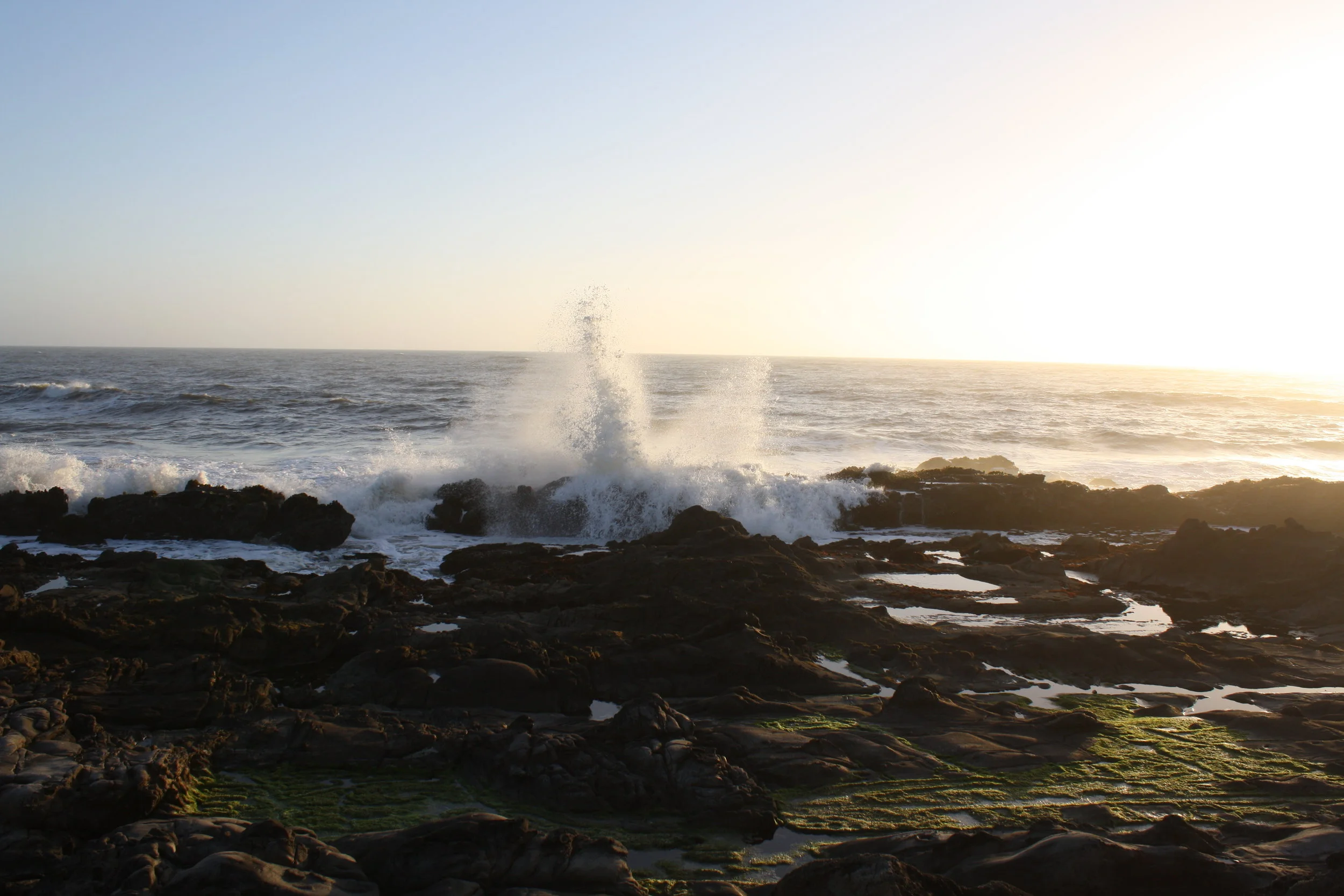 We're going back to Cali...