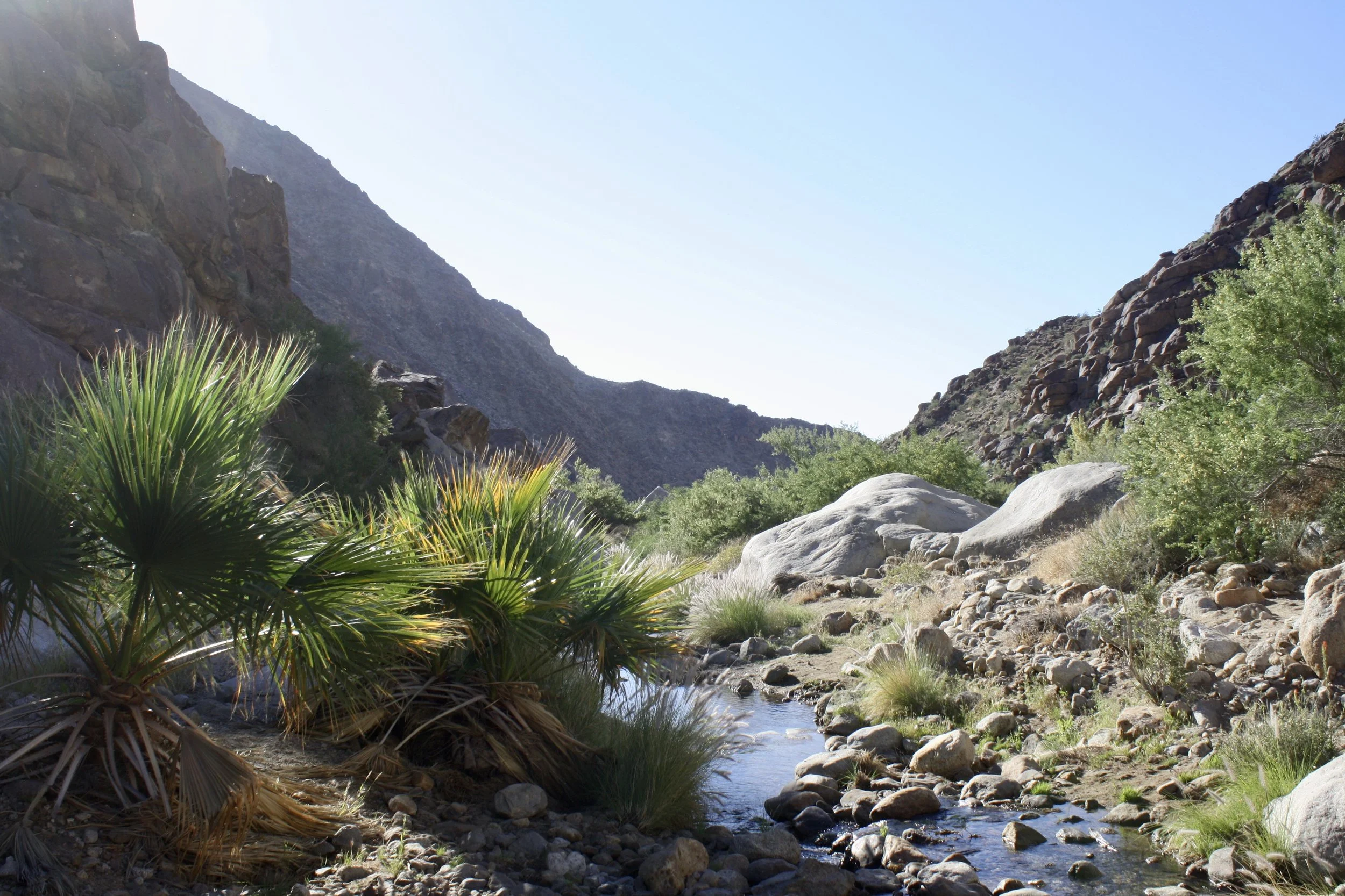 Anza-Borrego State Park & Slab City