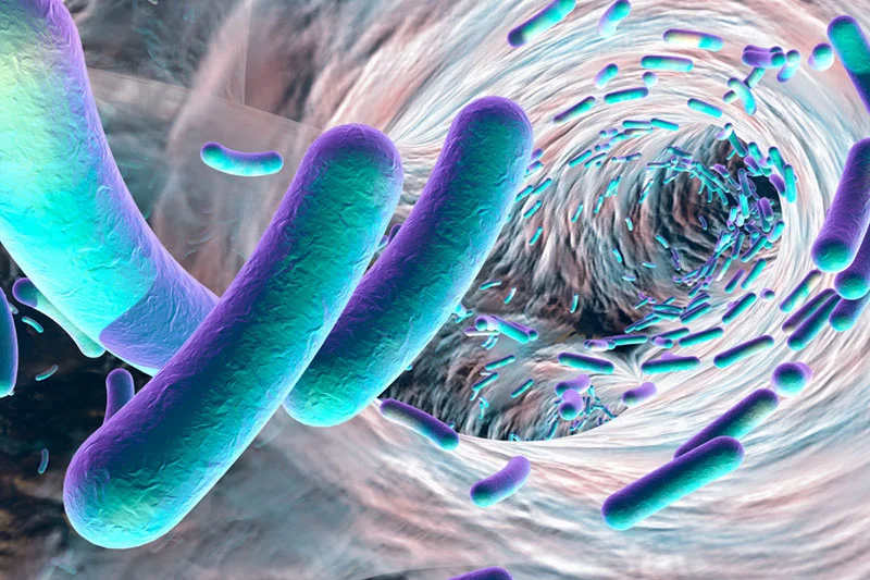 biofilm formation