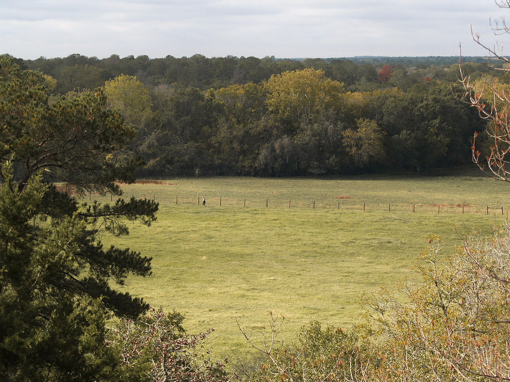 Wild Hare field (small).jpeg