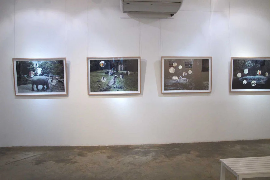 ANGSANA: Southeast Asian Photographers Taking Flight