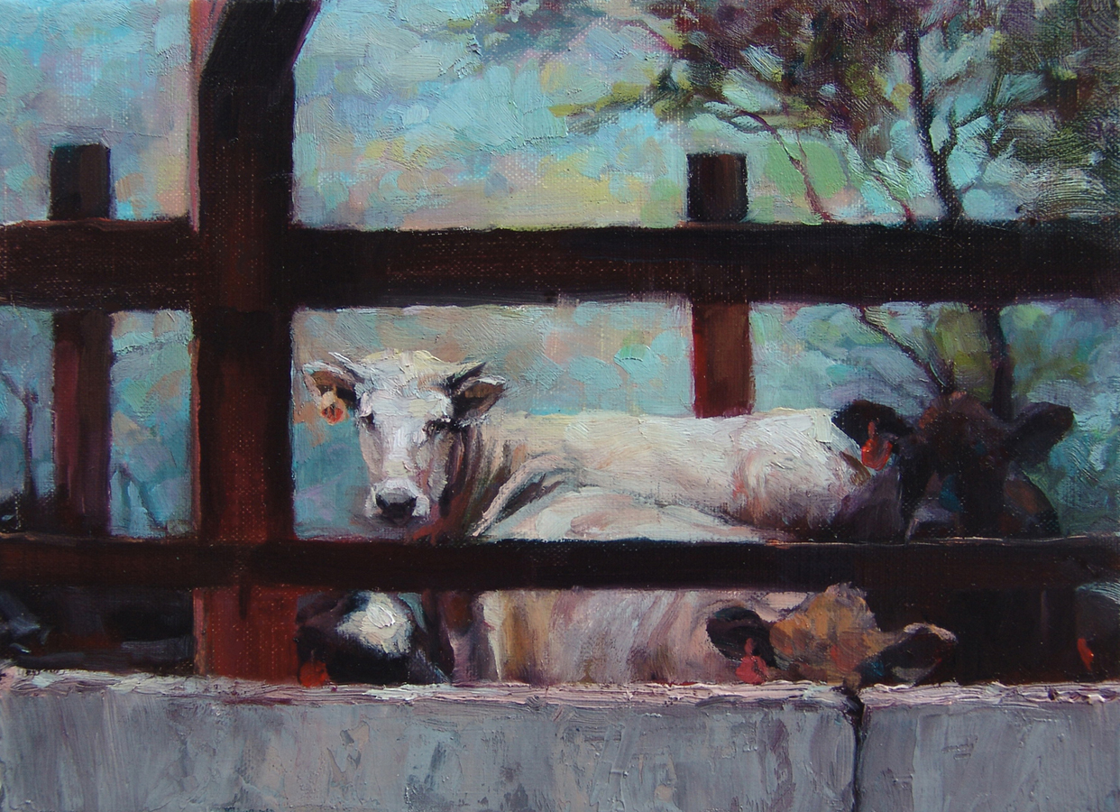 Penned In