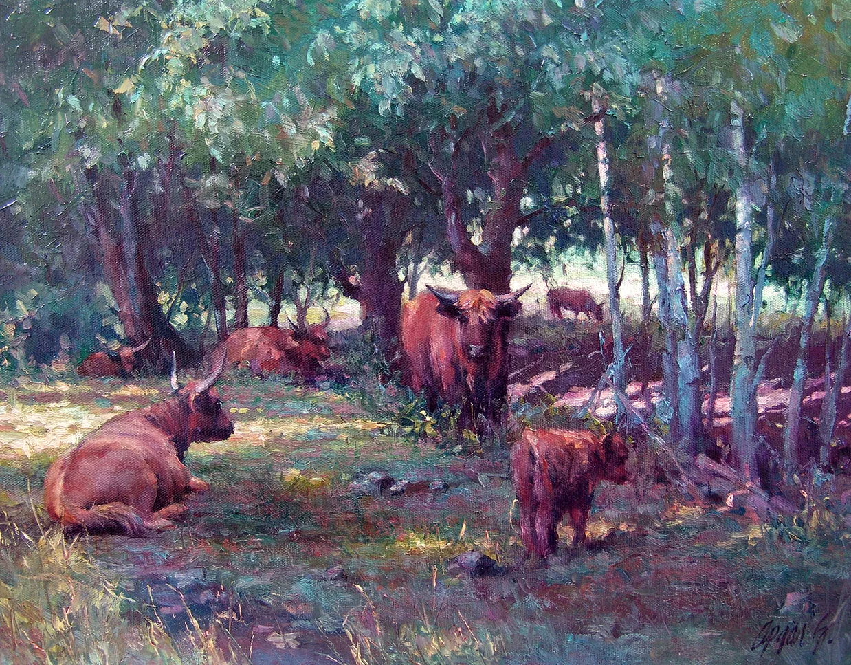 Seeking Shade