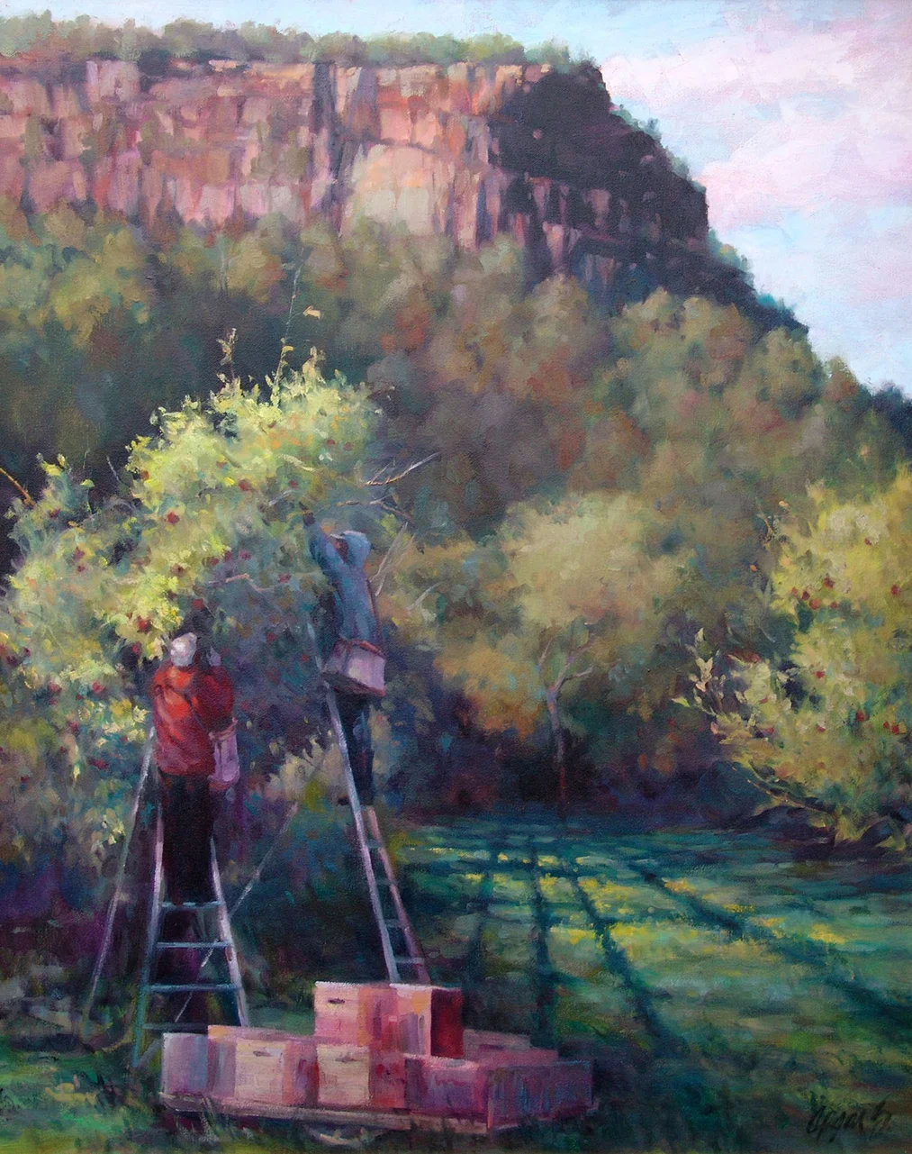 Picking at Bohringers