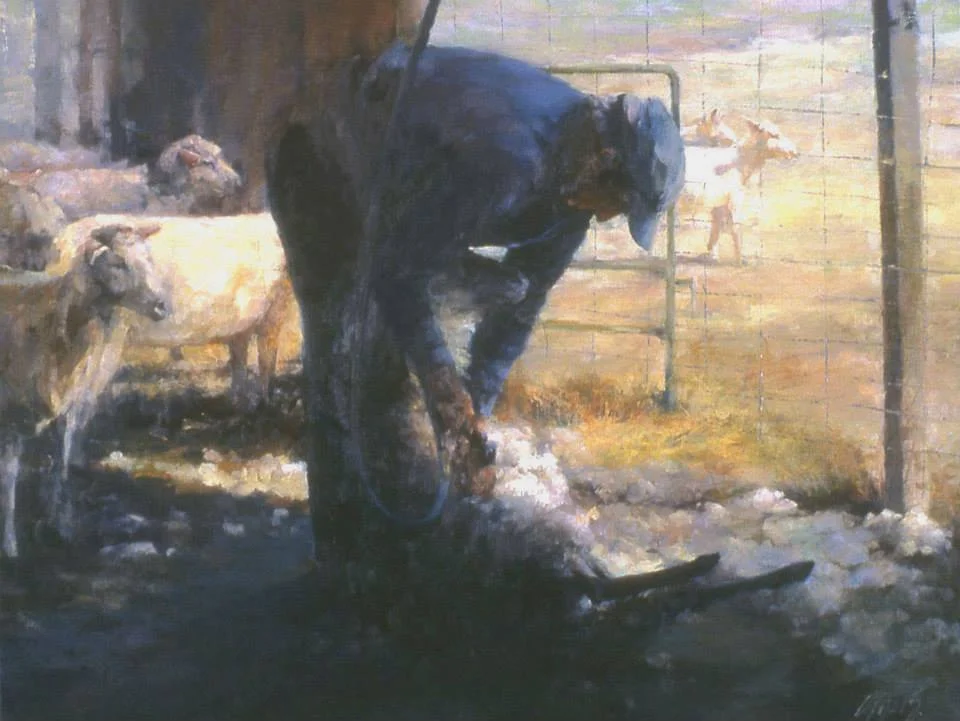The Shearer