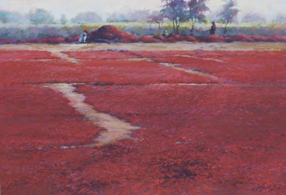 Pepper Fields, India