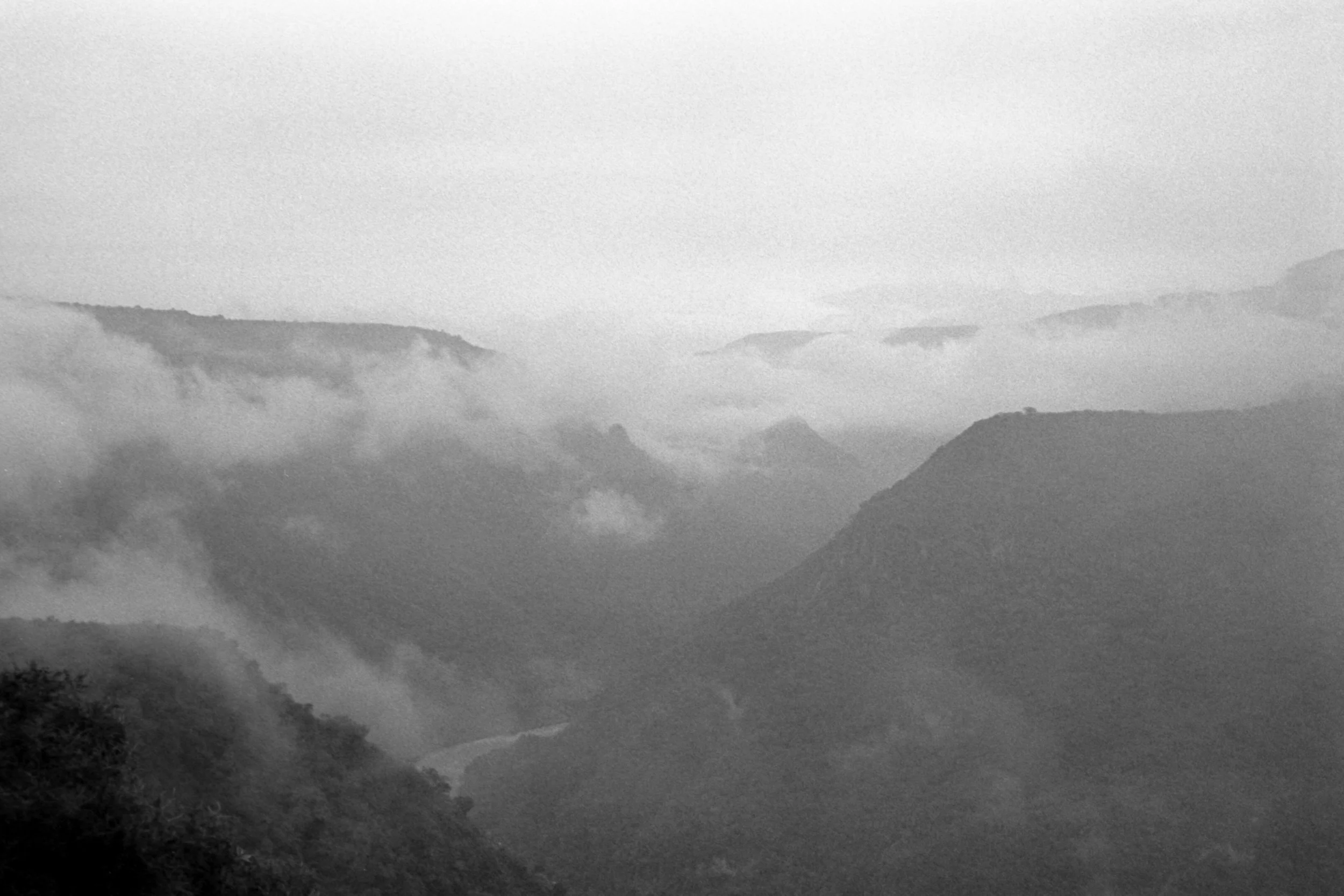 Feels like.Leica M6 + Tri-X 400.