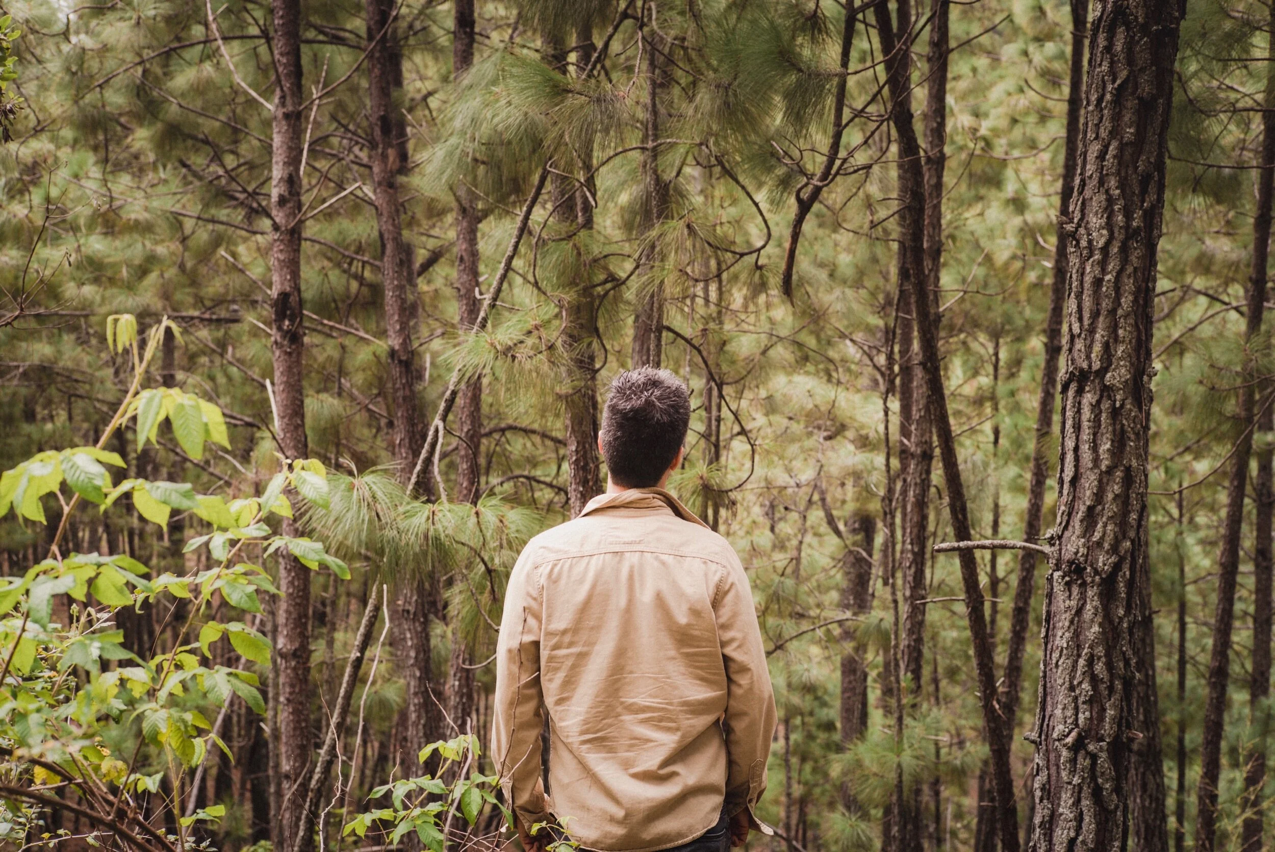 Forêt silencieuse, aimable solitude, Que j’aime à parcourir votre ombrage ignoré ! Dans vos sombres détours, en rêvant égaré, J’éprouve un sentiment libre d’inquiétude ! Prestiges de mon cœur ! je crois voir s’exhaler Des arbres, des gazons une douce tristesse : Cette onde que j’entends murmure avec mollesse, Et dans le fond des bois semble encor m’appeler. Oh ! que ne puis-je, heureux, passer ma vie entière Ici, loin des humains !… Au bruit de ces ruisseaux, Sur un tapis de fleurs, sur l’herbe printanière, Qu’ignoré je sommeille à l’ombre des ormeaux ! Tout parle, tout me plaît sous ces voûtes tranquilles ; Ces genêts, ornements d’un sauvage réduit, Ce chèvrefeuille atteint d’un vent léger qui fuit, Balancent tour à tour leurs guirlandes mobiles. Forêts, dans vos abris gardez mes vœux offerts ! A quel amant jamais serez-vous aussi chères ? D’autres vous rediront des amours étrangères ; Moi de vos charmes seuls j’entretiens les déserts. François-René de Chateaubriand. Leica M(Typ240) + Summicron-M 50mm f/2.