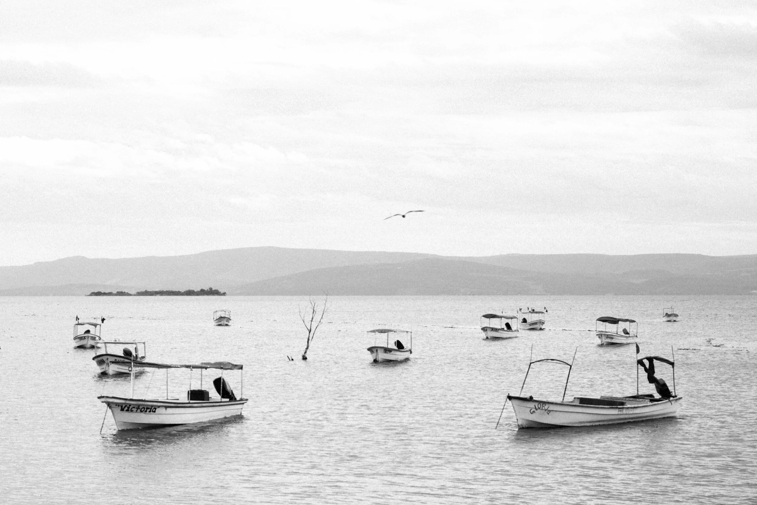 A week of distance.Life is motion.02.02.2020