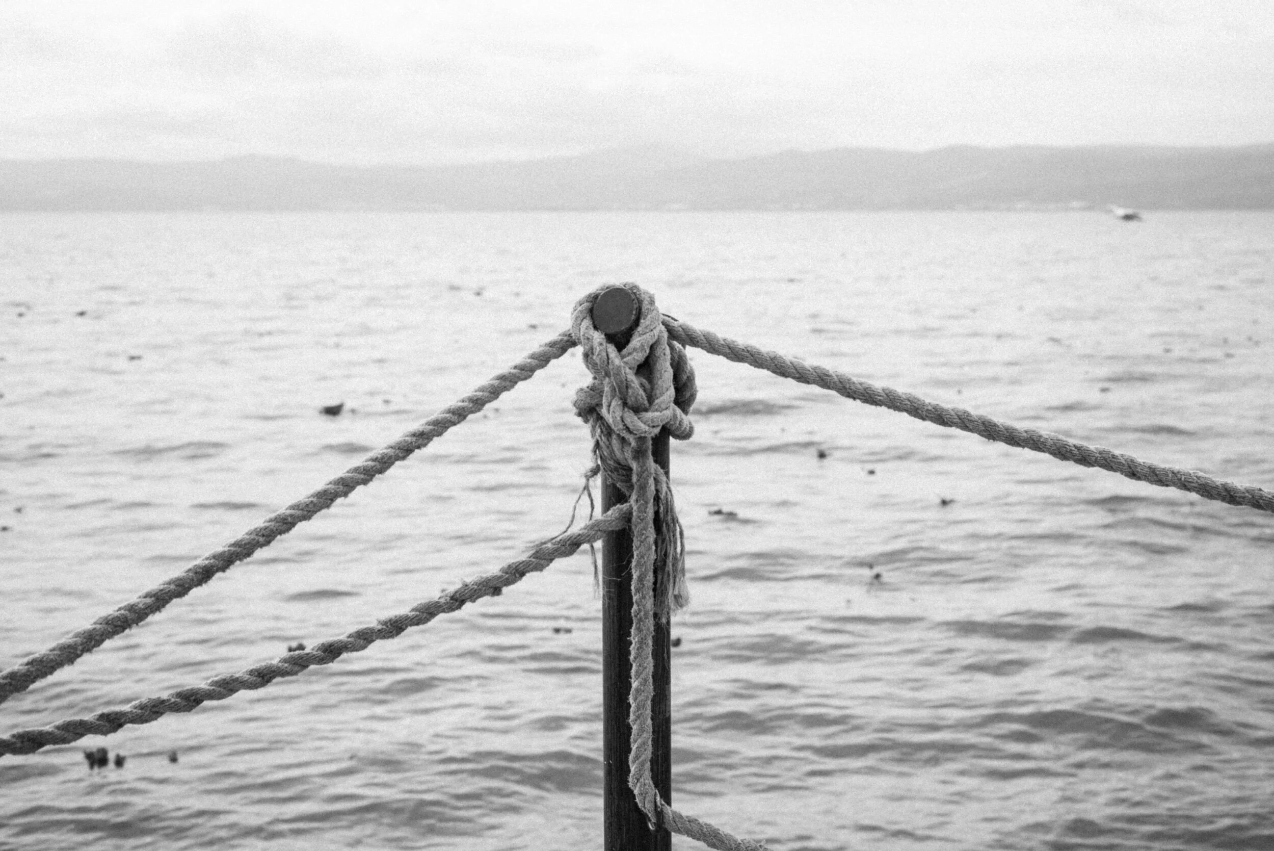 If I could choose a view for this morning this would be the one. I miss terrible how these waters make me feel and how temperamental my mind can turn when I’m there. Need of emotions. Need of freedom. Need of peace.