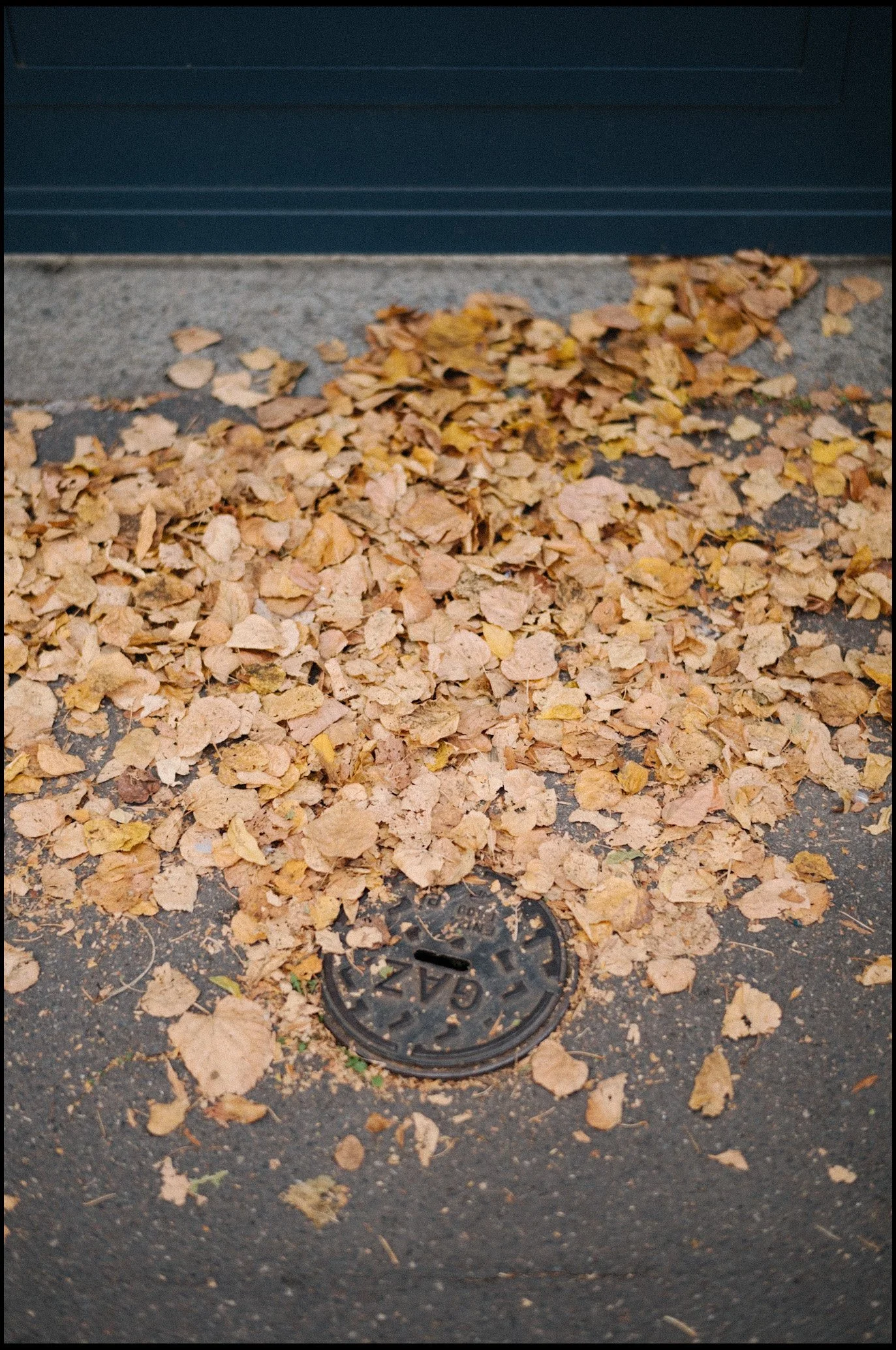 L1003775.jpg