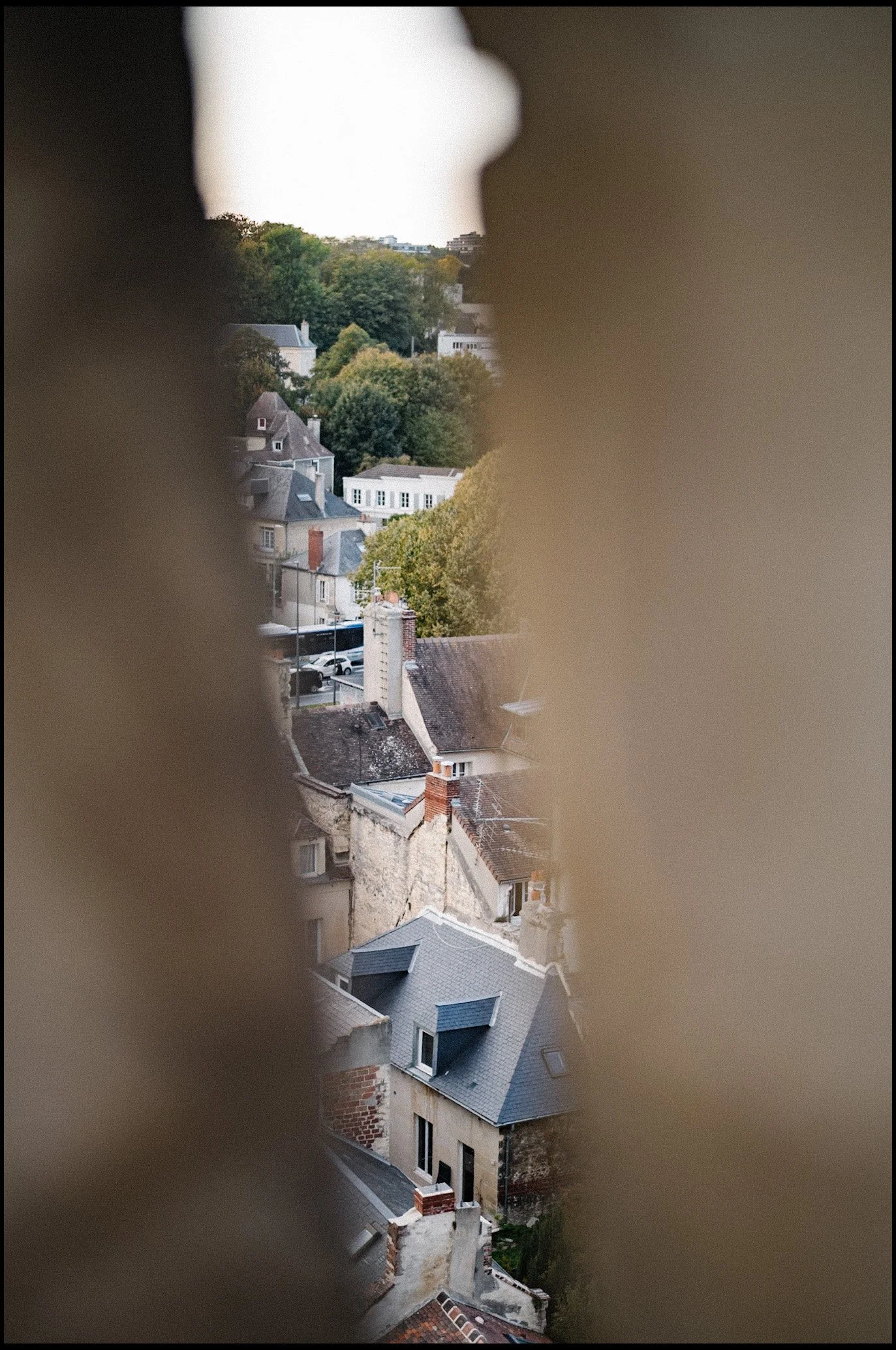 L1003431.jpg
