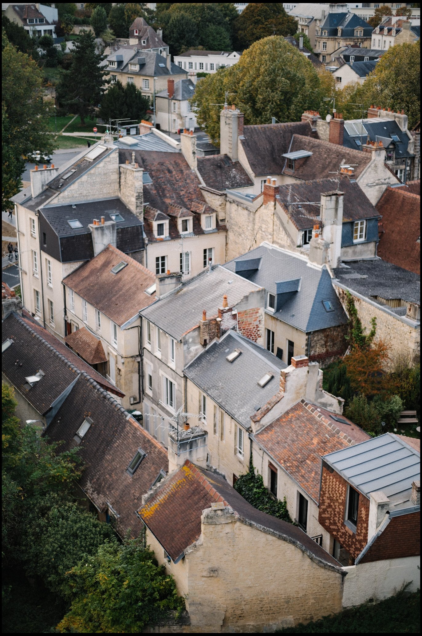 L1003430.jpg