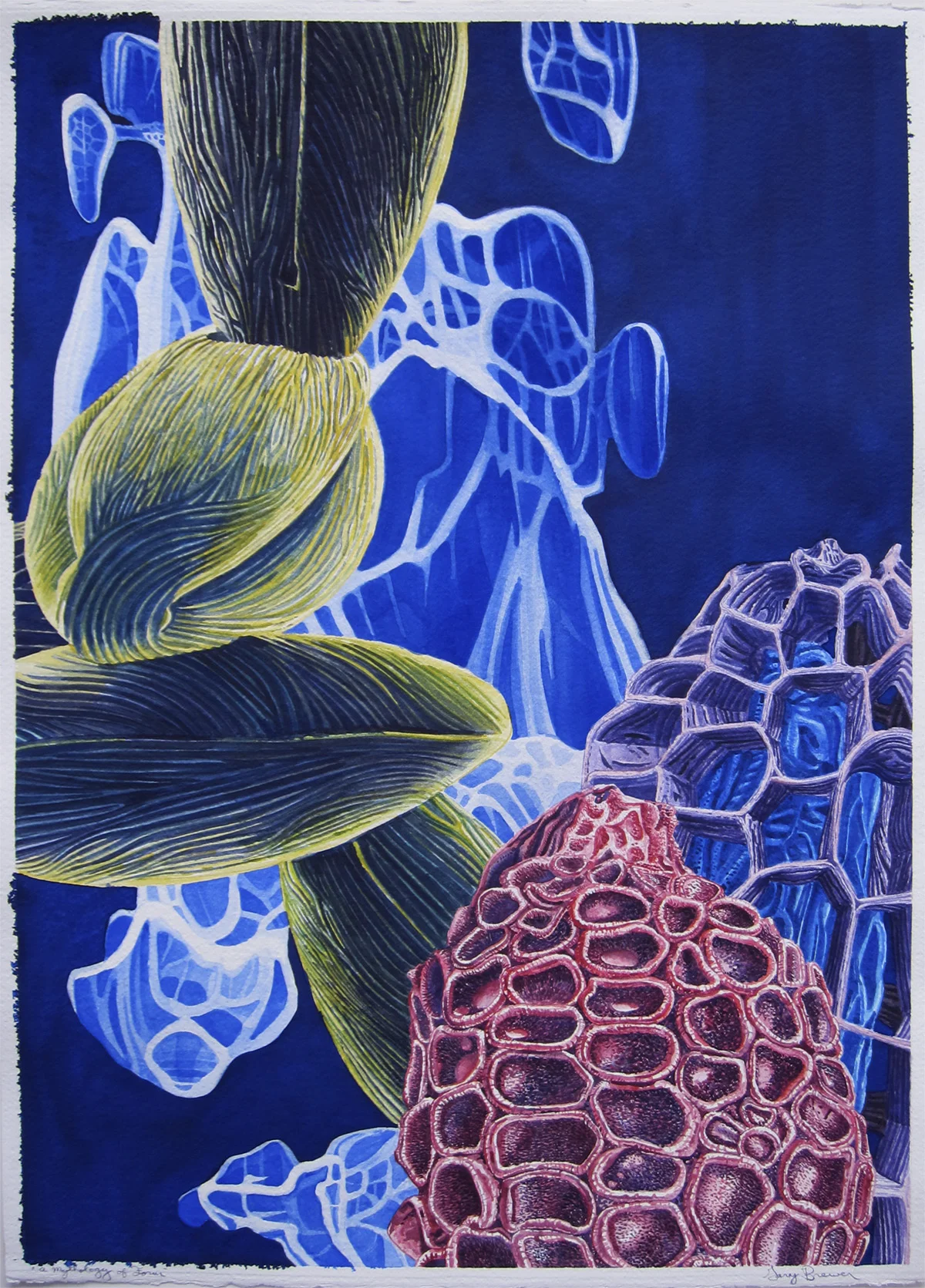 A Mythology of Form 2015 30x22 watercolor on paper.jpg