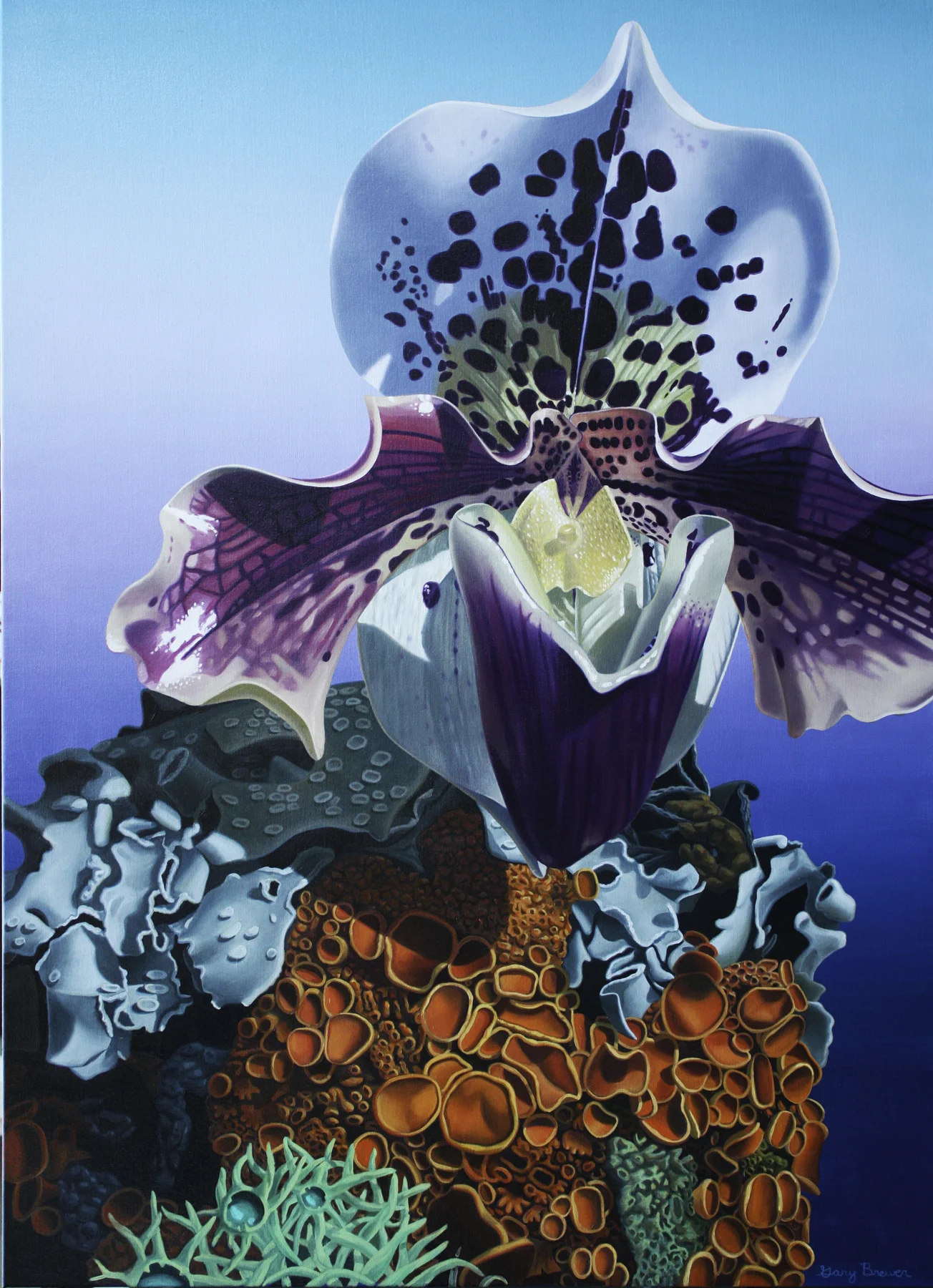 Lush Morphologies 54x39 2009.jpg