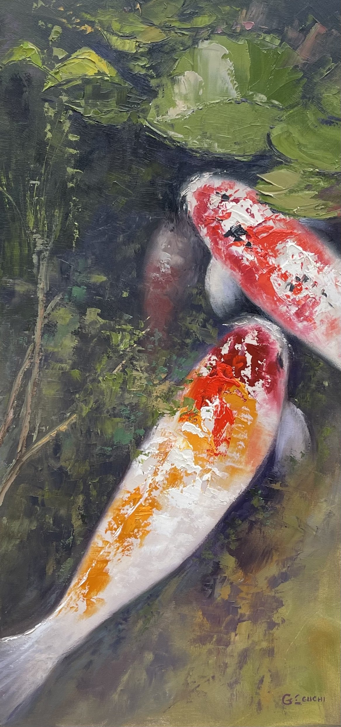 The Flamboyance of Koi's