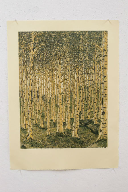 "Seeing the Forest Through the Trees"