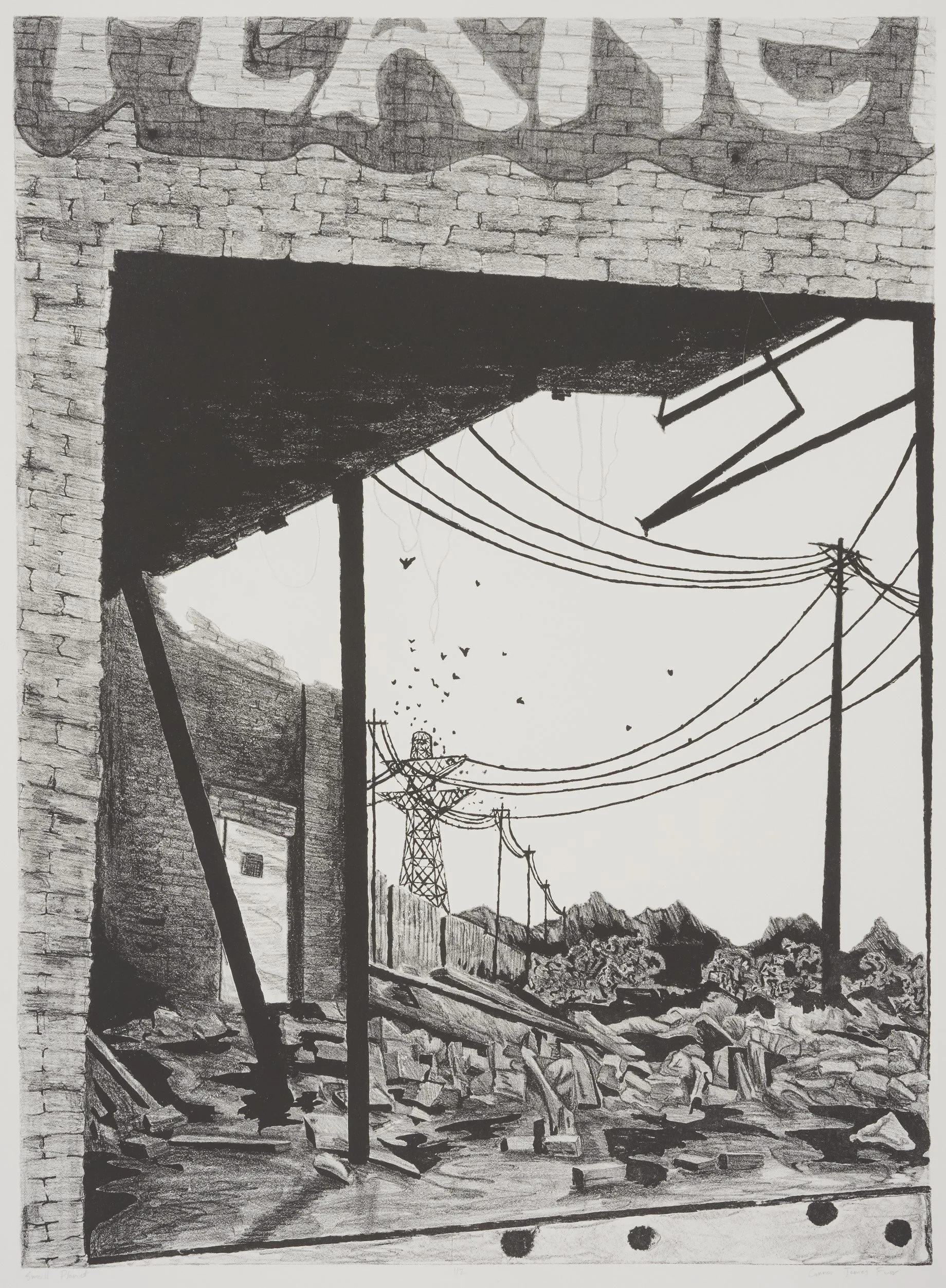   "Small Planet"   20 × 24 in. Lithograph, 2018 