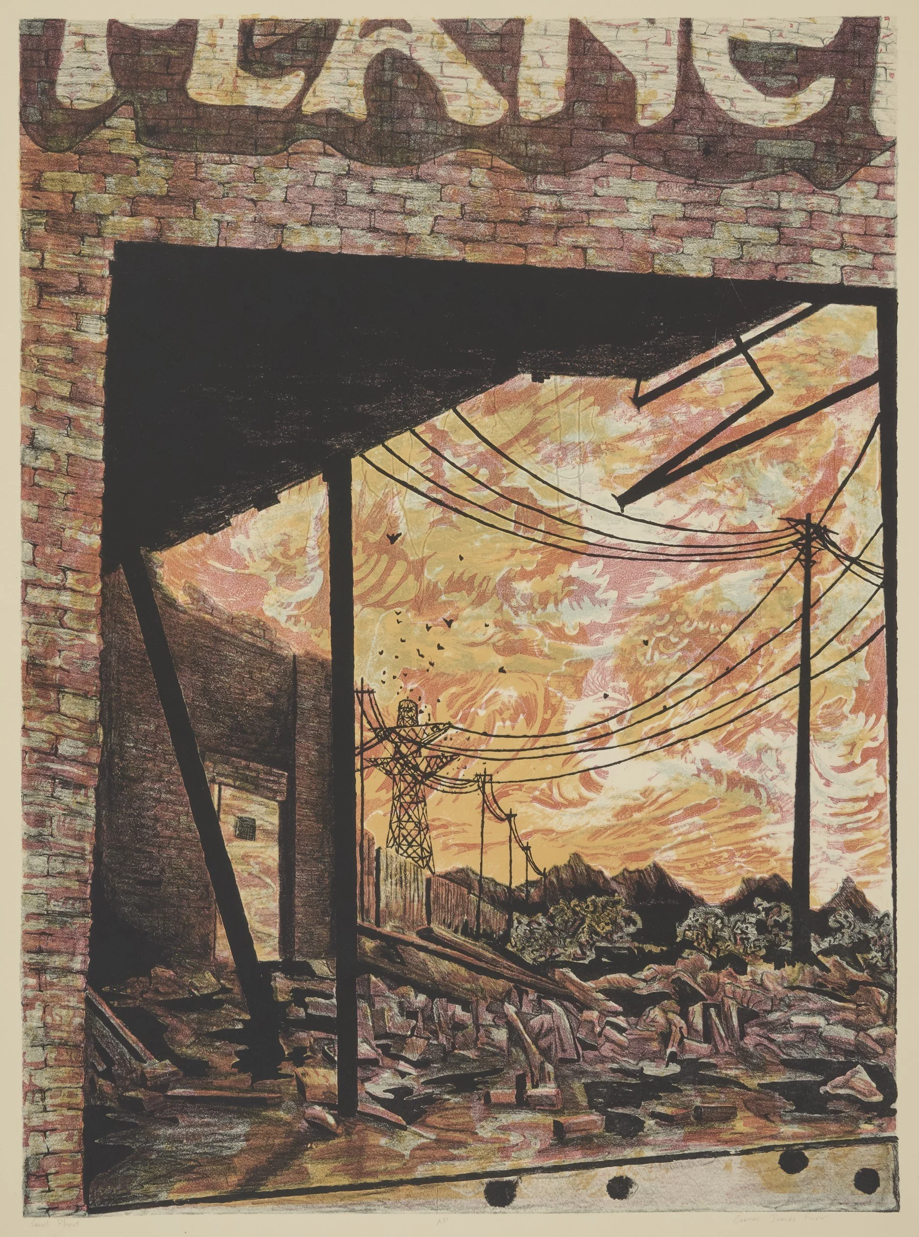   "Small Planet"   20 × 24 in. Lithograph, 2018 