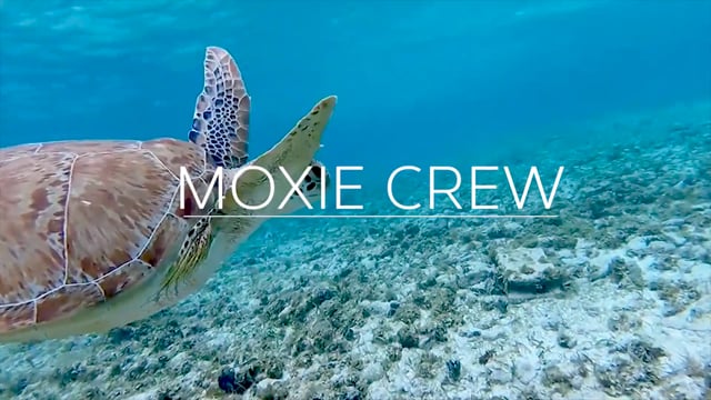 2018 MixedMediaMonster | Grand Cayman Announcement