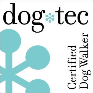 certified dog walker