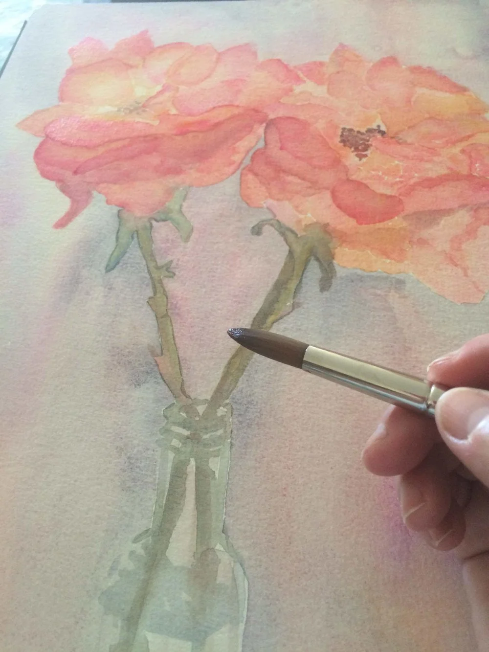 Flowers and Landscapes of California: Original Watercolors by Carol Ann Conners