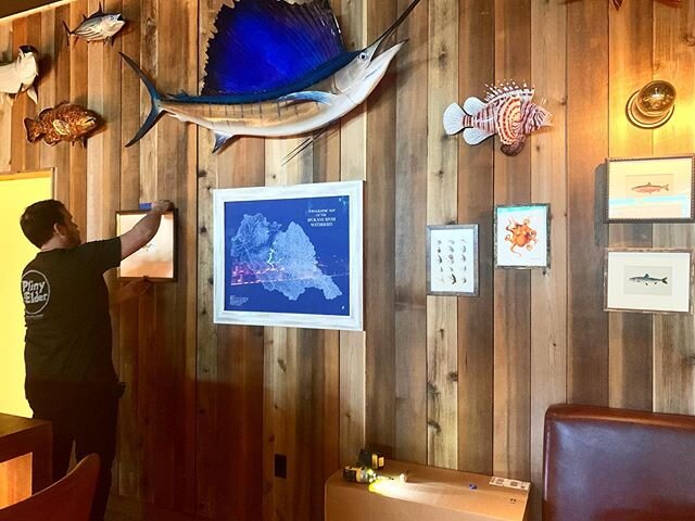 image-asset (1).jpeg