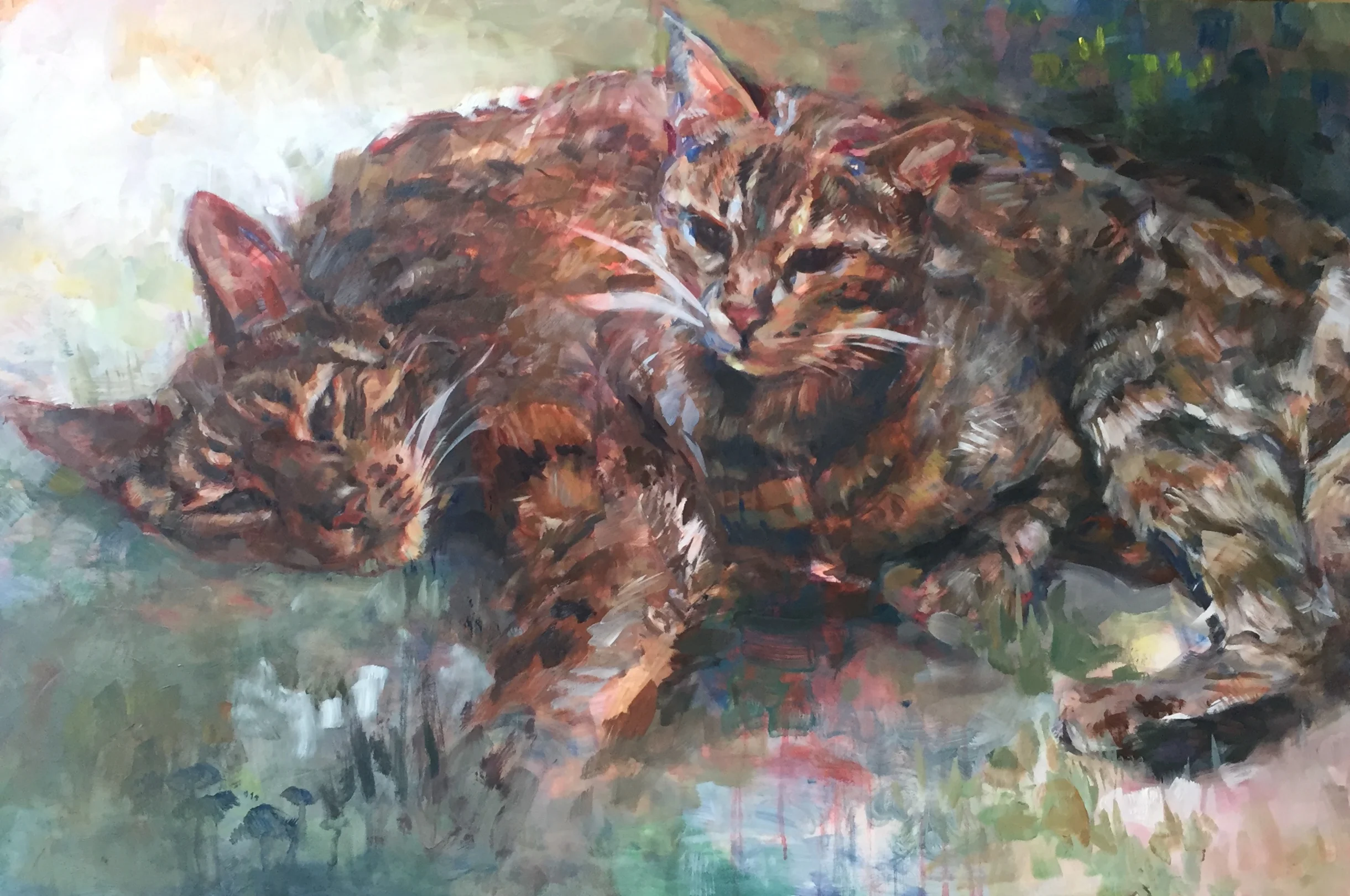 Bengals