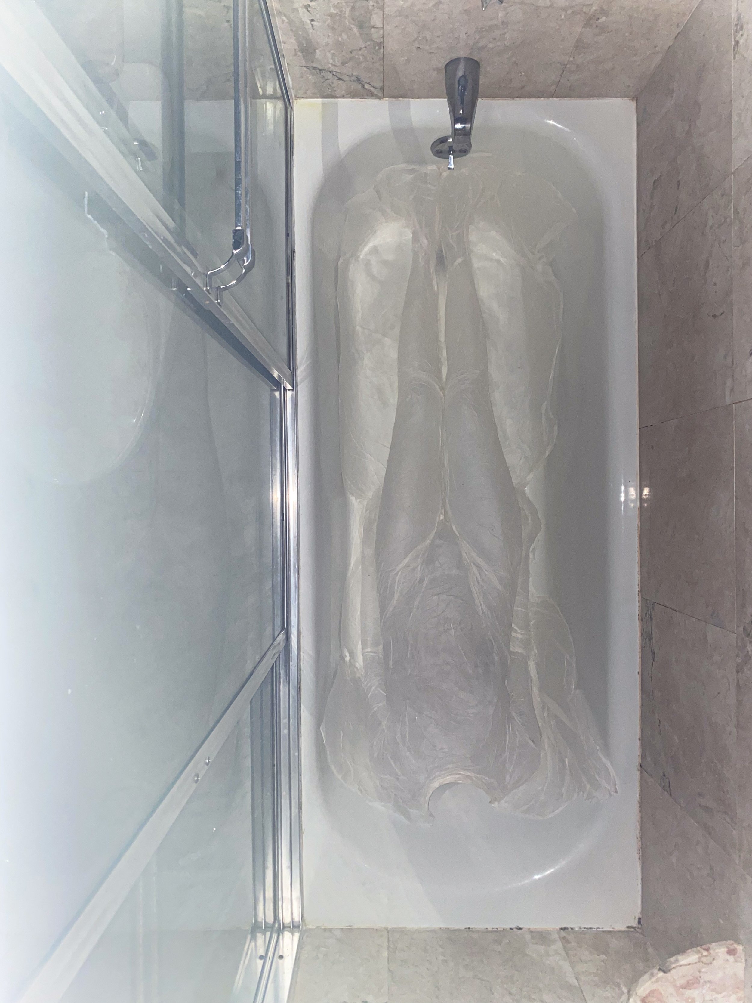 Handmade mulberry paper, water, spray bottle, brushes, towels, folding fan, hair dryer, 17:00-20:00 est Performance piece between two friends. A sheet of rectangular handmade mulberry paper is rewetted and molded to the body and bathtub. The once p