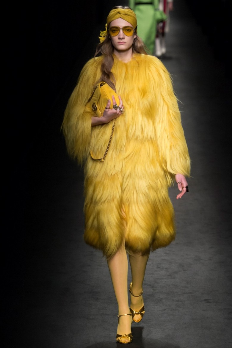 Image12.jpg