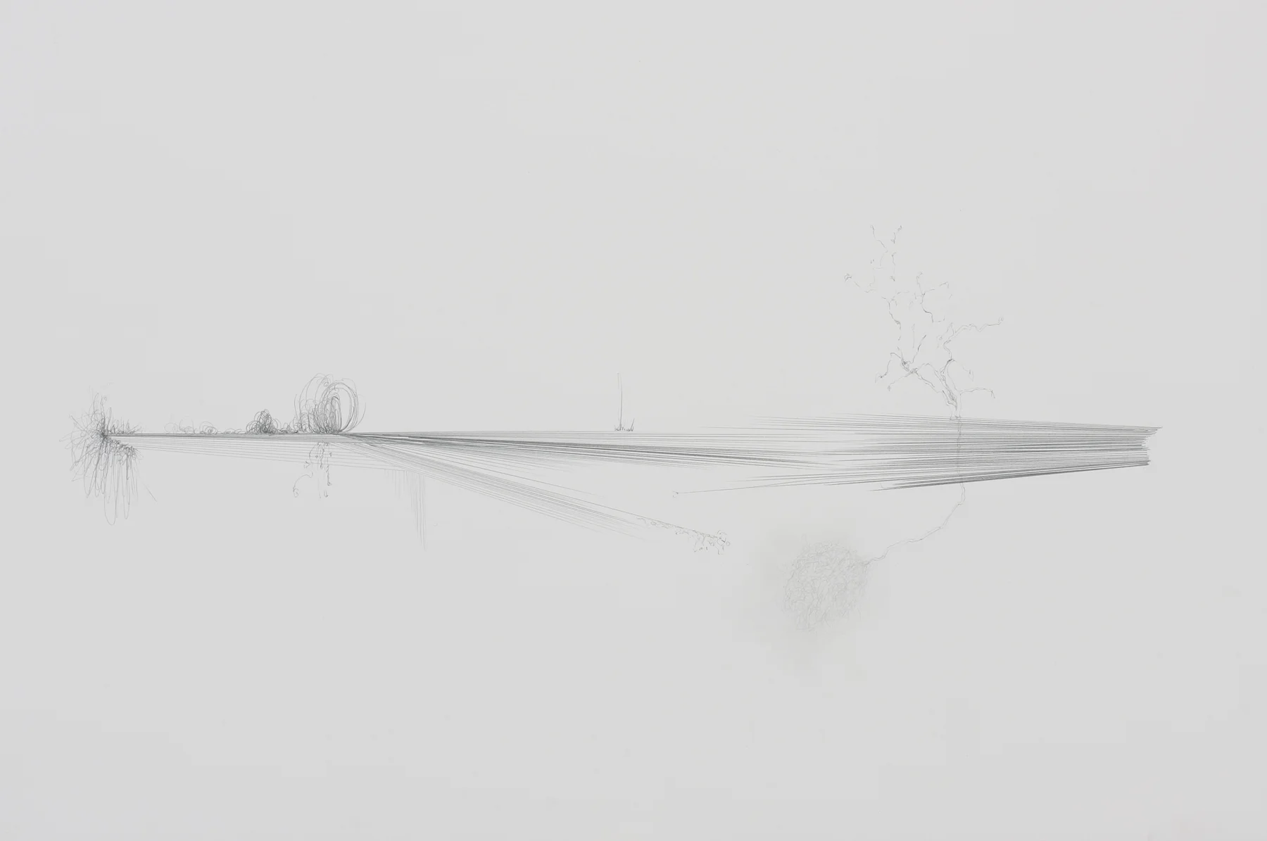 untitled, graphite on paper, 2005, 22 x 30 inches