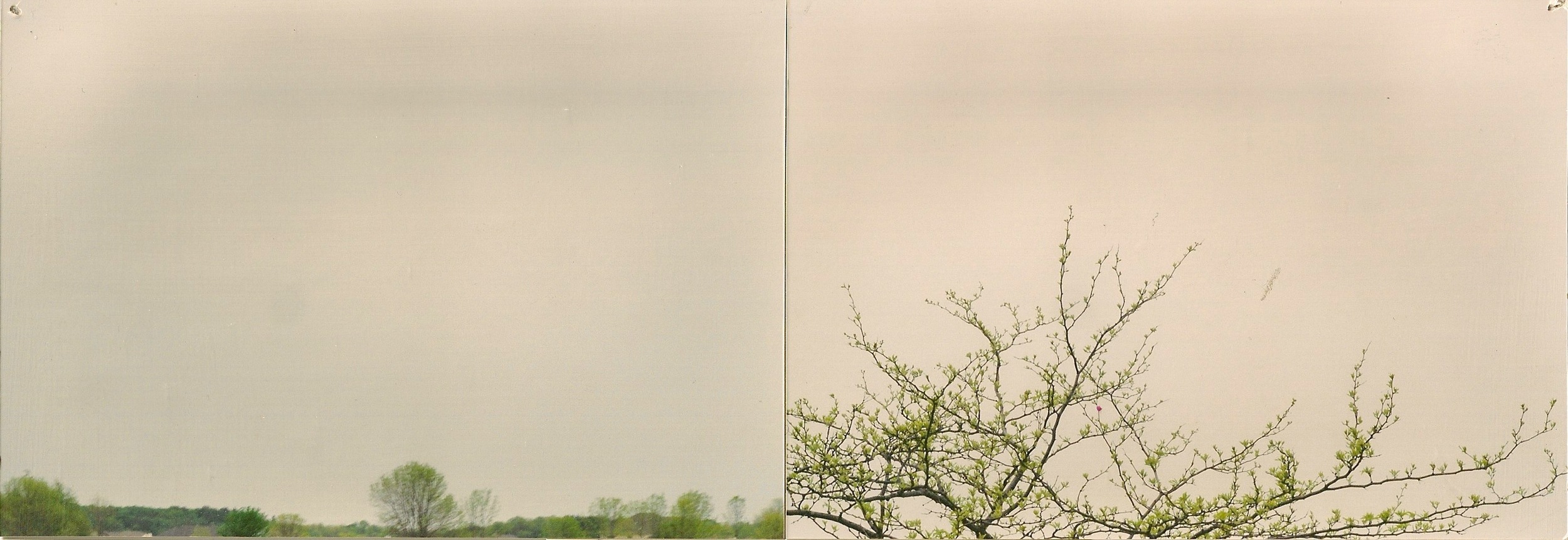 dual landscape2.jpeg