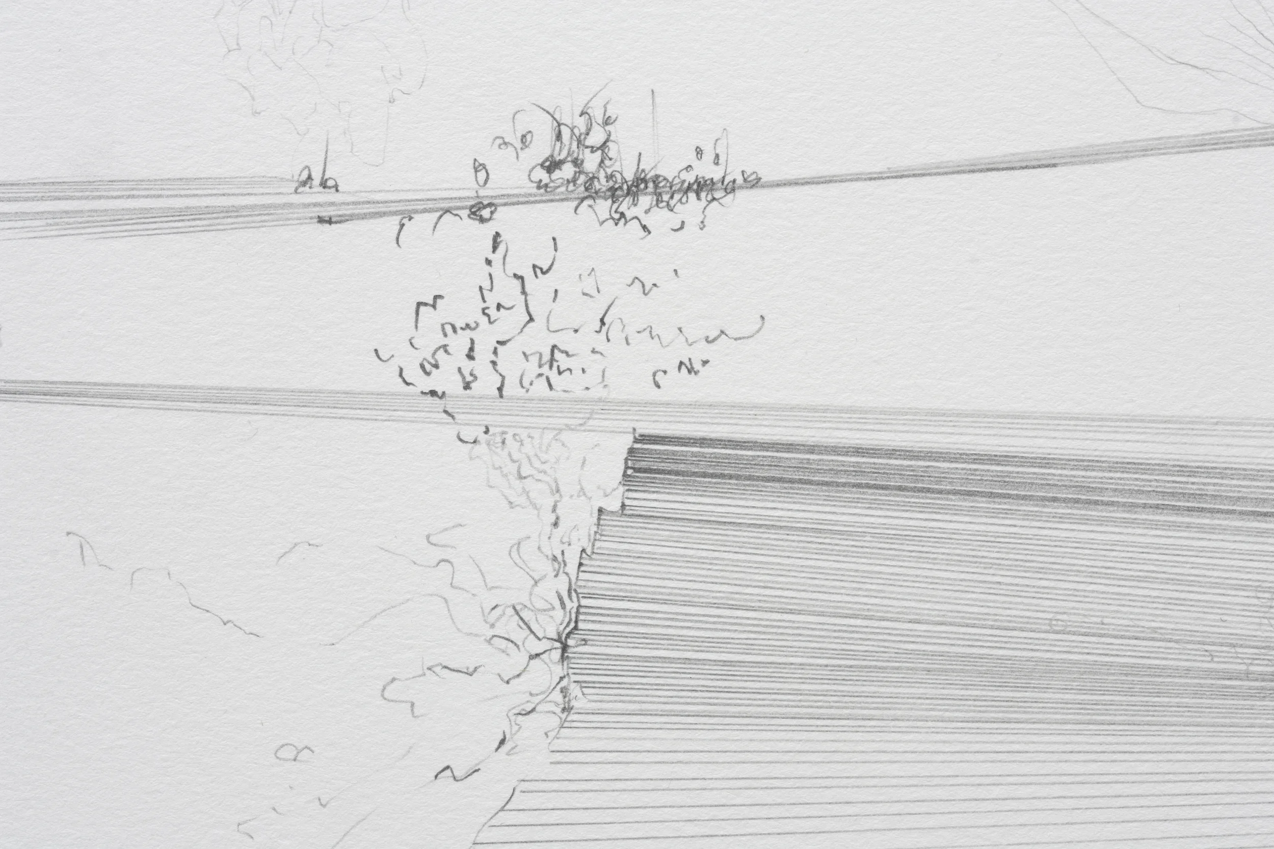Fissures & Acorns (detail)