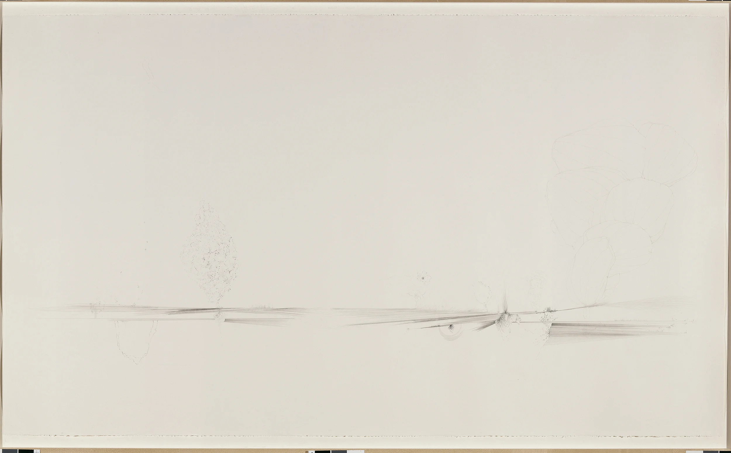 Fissures & Acorns, 2005, 76 in. long