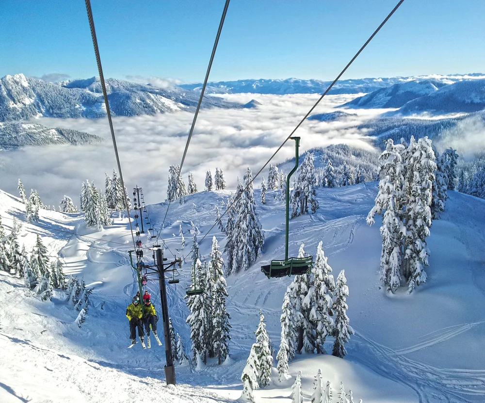 CHAIR2_20x24.jpg