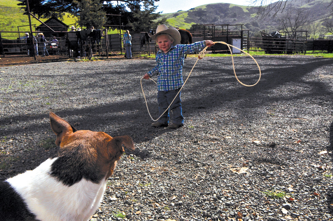 Cambria, California 2013
