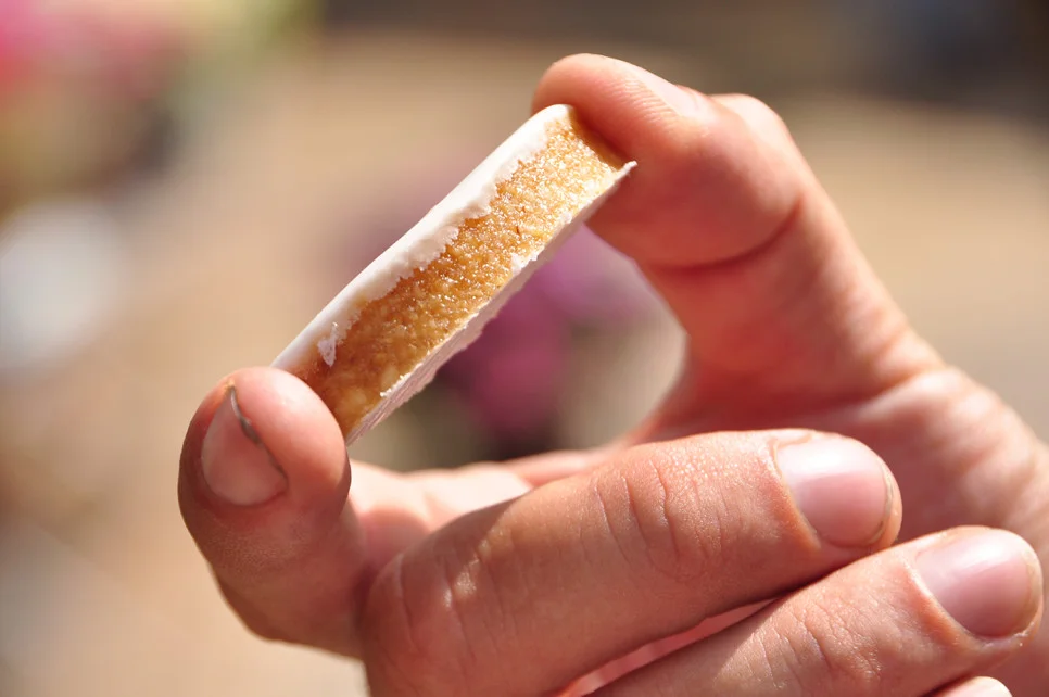 Hands_GuideWithAixCookie_Web_082015.jpg