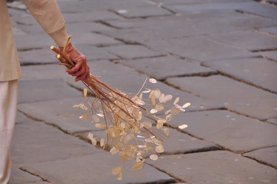 Hands_LadyWithDriedFlowers_Web_082015.jpg